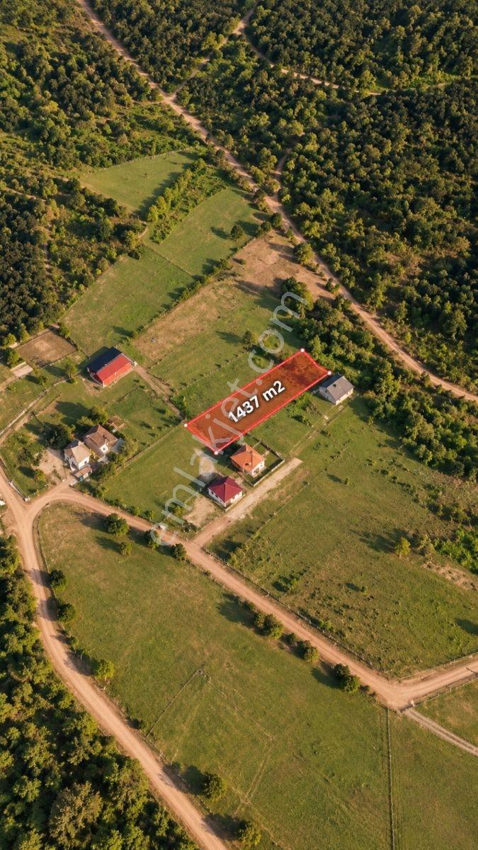 Kandıra Çamkonakta 1.437 M² Yatırımlık Tarla | Fırsat Parsel — fotoğraf 5