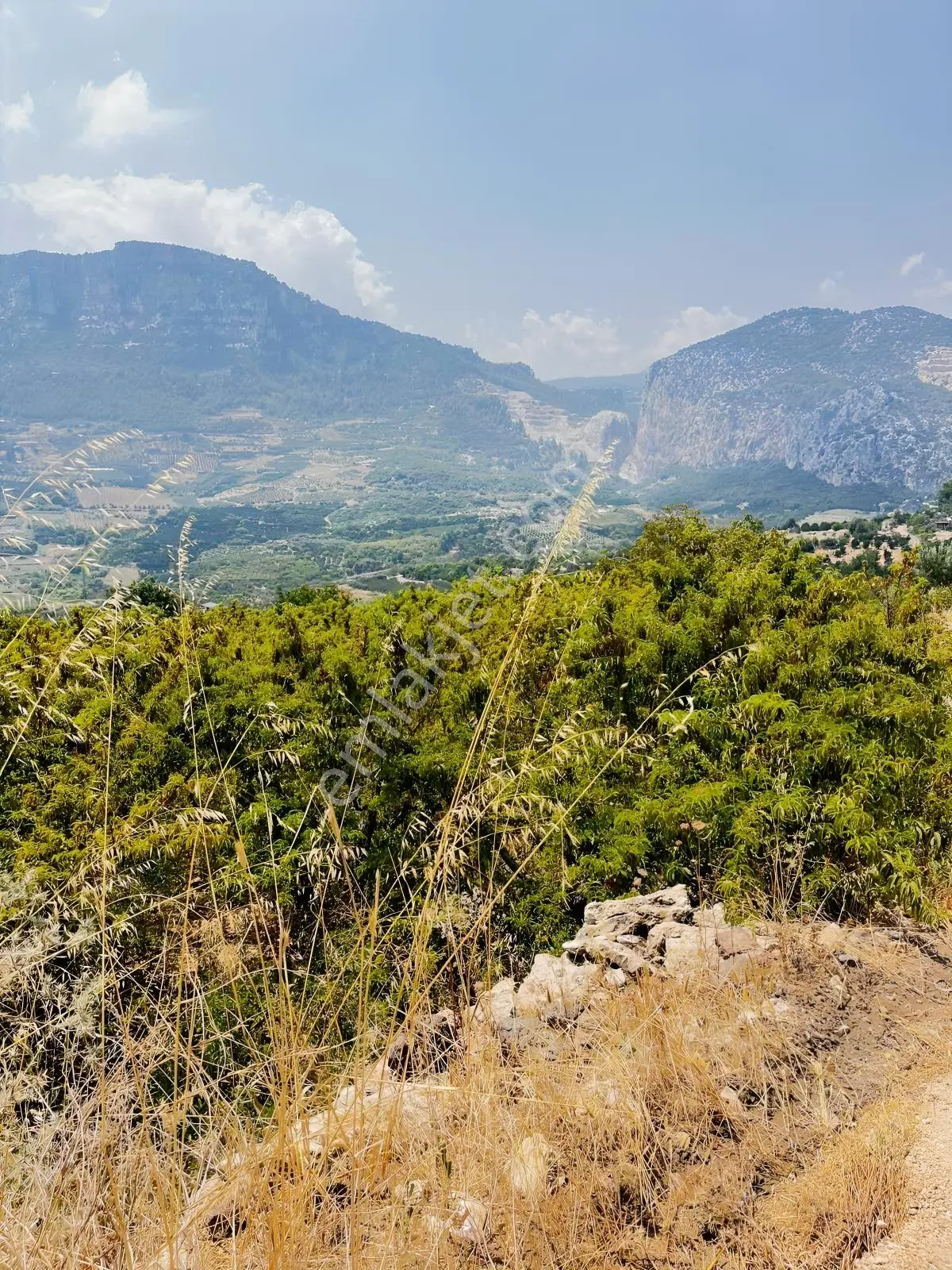 Değirmençayda Yaylalık Şehre Yakın Arsa 1.487 M2 Asfalt Cepheli