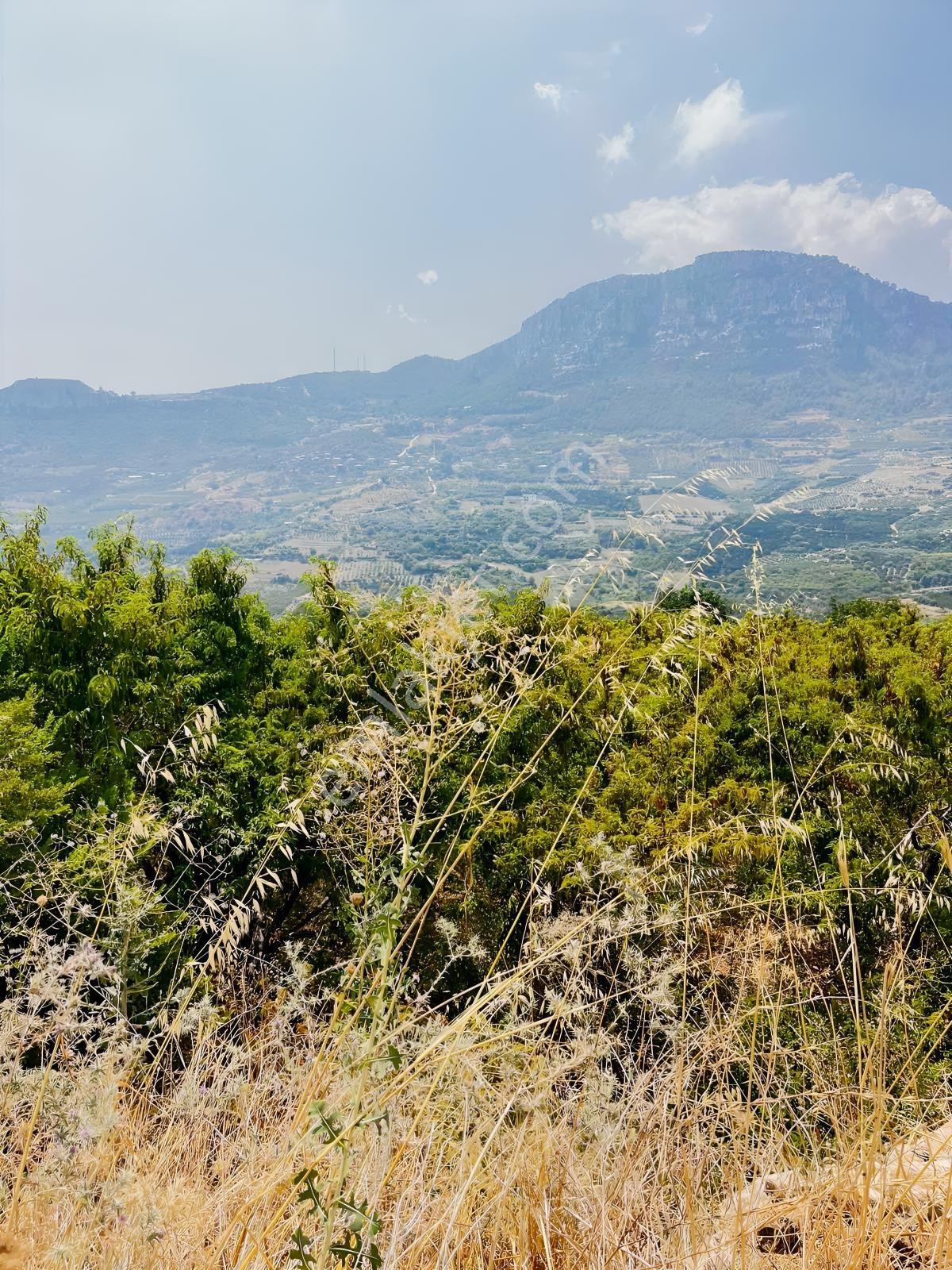 Değirmençayda Yaylalık Şehre Yakın Arsa 1.487 M2 Asfalt Cepheli — fotoğraf 2