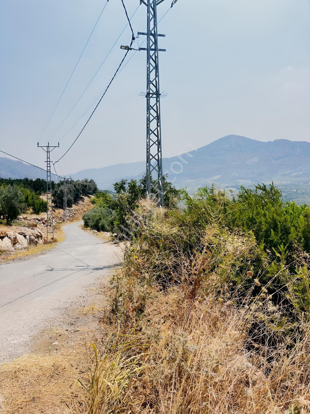 Değirmençayda Yaylalık Şehre Yakın Arsa 1.487 M2 Asfalt Cepheli — fotoğraf 3