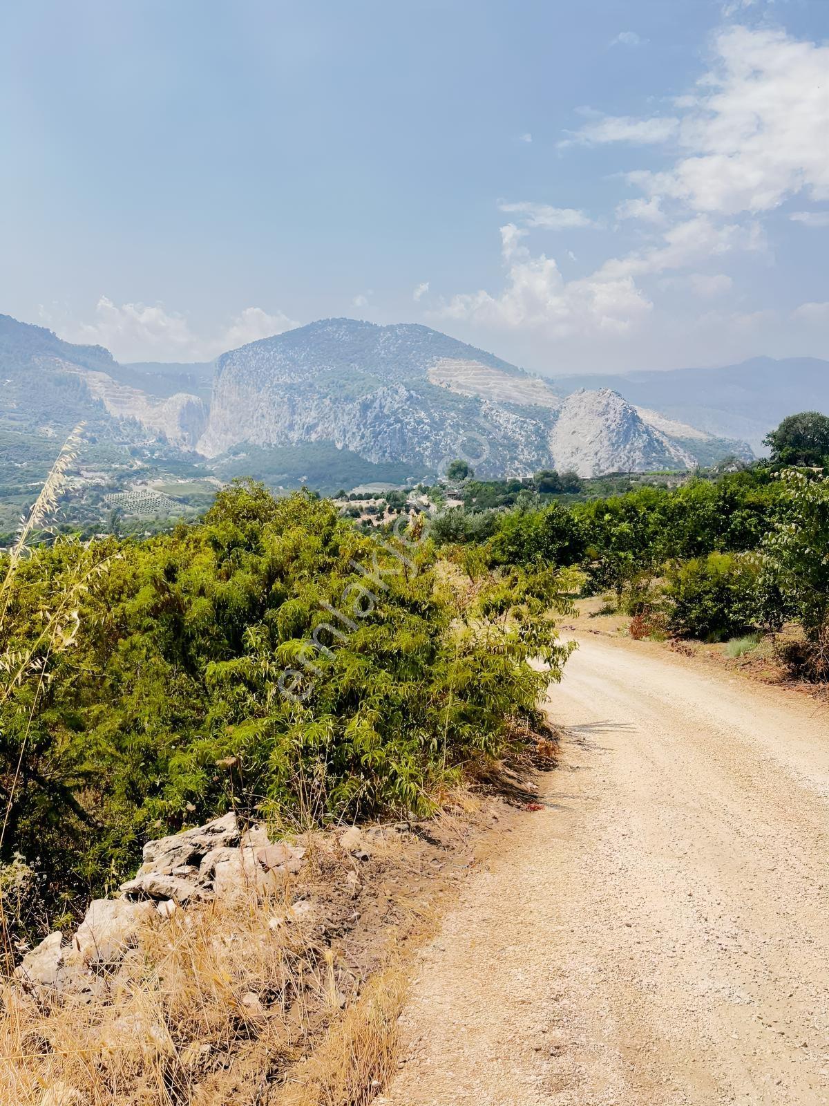 Değirmençayda Yaylalık Şehre Yakın Arsa 1.487 M2 Asfalt Cepheli — fotoğraf 4
