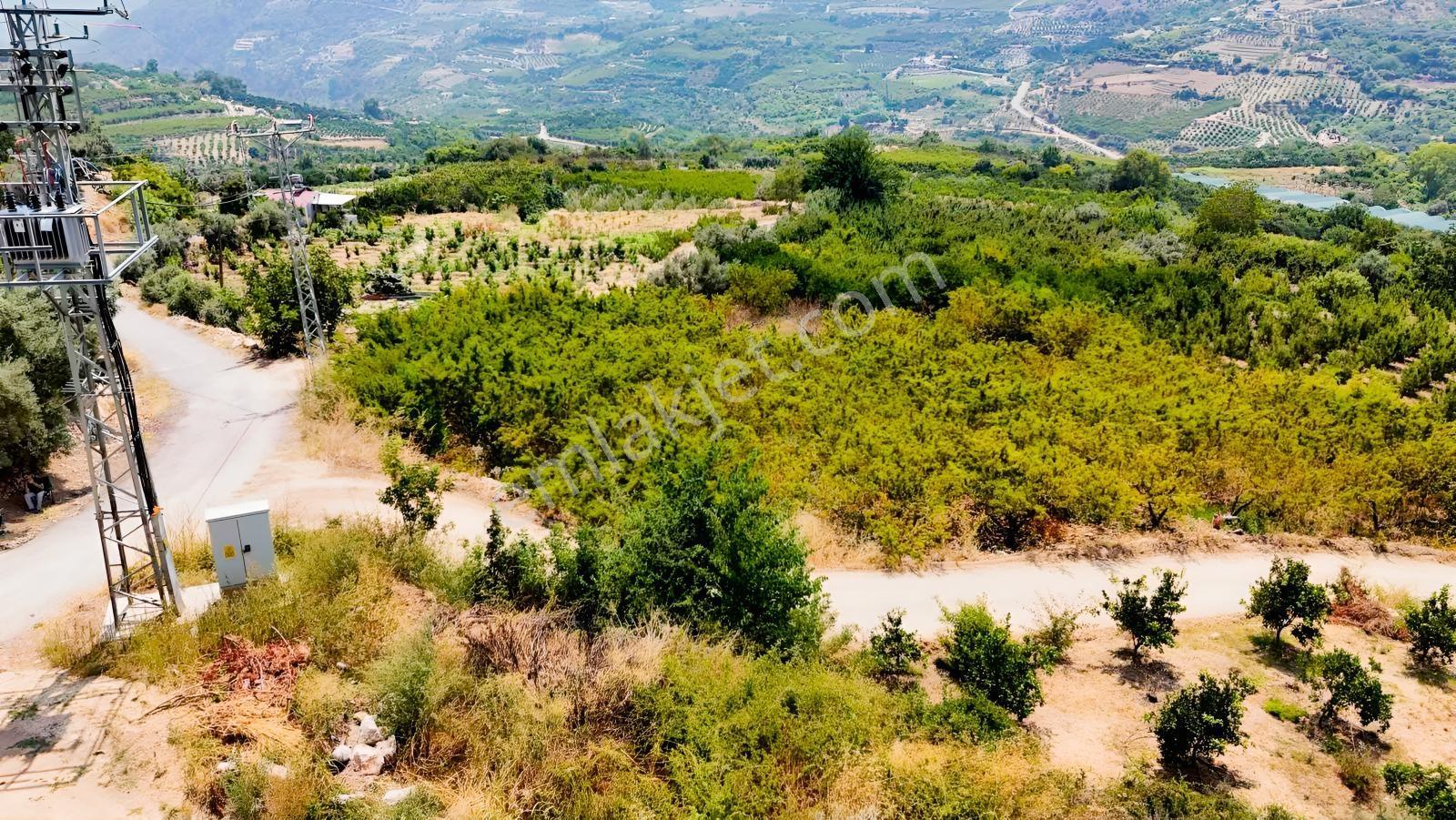 Değirmençayda Yaylalık Şehre Yakın Arsa 1.487 M2 Asfalt Cepheli — fotoğraf 5