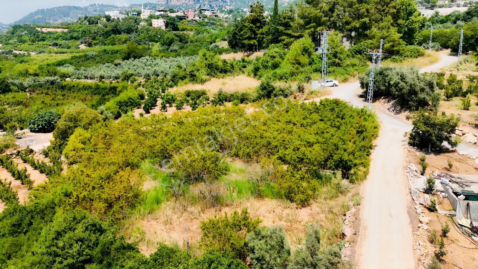 Değirmençayda Yaylalık Şehre Yakın Arsa 1.487 M2 Asfalt Cepheli — fotoğraf 6