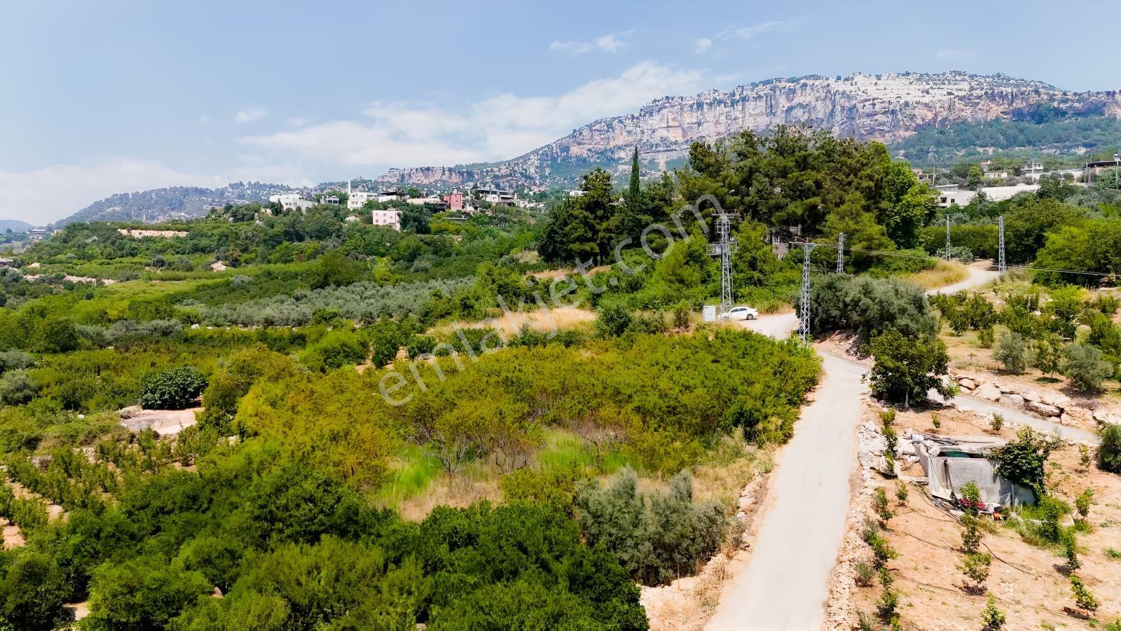 Değirmençayda Yaylalık Şehre Yakın Arsa 1.487 M2 Asfalt Cepheli — fotoğraf 7