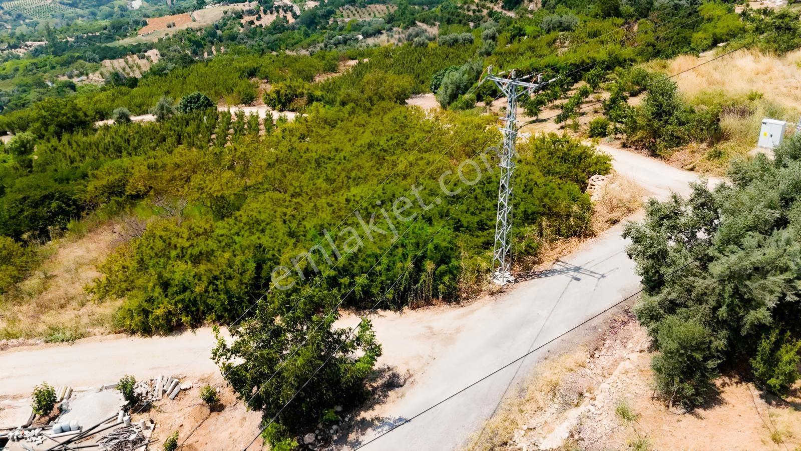 Değirmençayda Yaylalık Şehre Yakın Arsa 1.487 M2 Asfalt Cepheli — fotoğraf 8