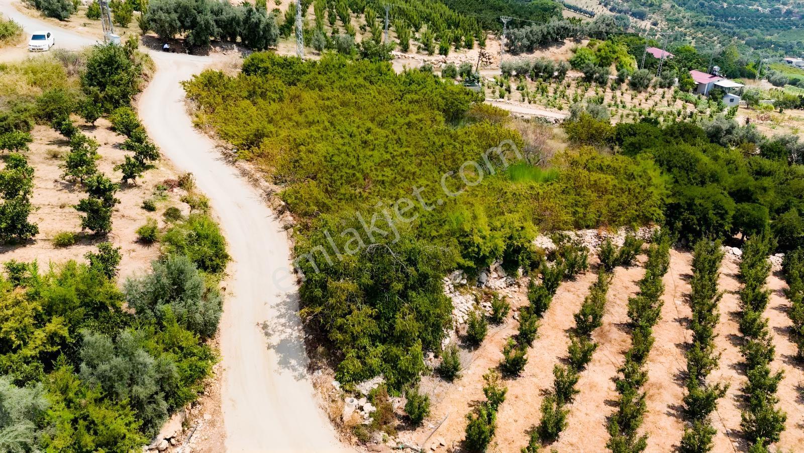 Değirmençayda Yaylalık Şehre Yakın Arsa 1.487 M2 Asfalt Cepheli — fotoğraf 9
