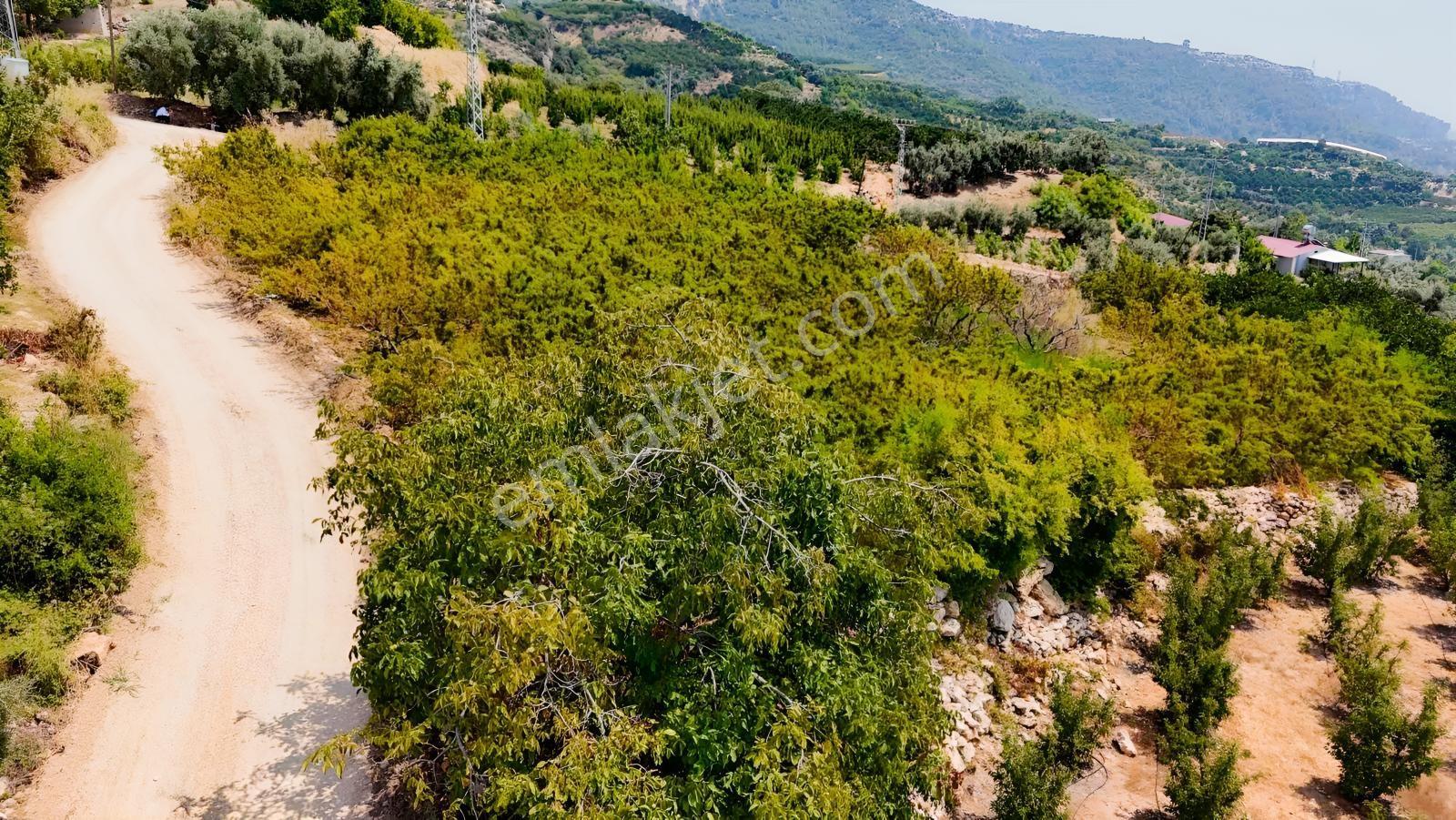 Değirmençayda Yaylalık Şehre Yakın Arsa 1.487 M2 Asfalt Cepheli — fotoğraf 10