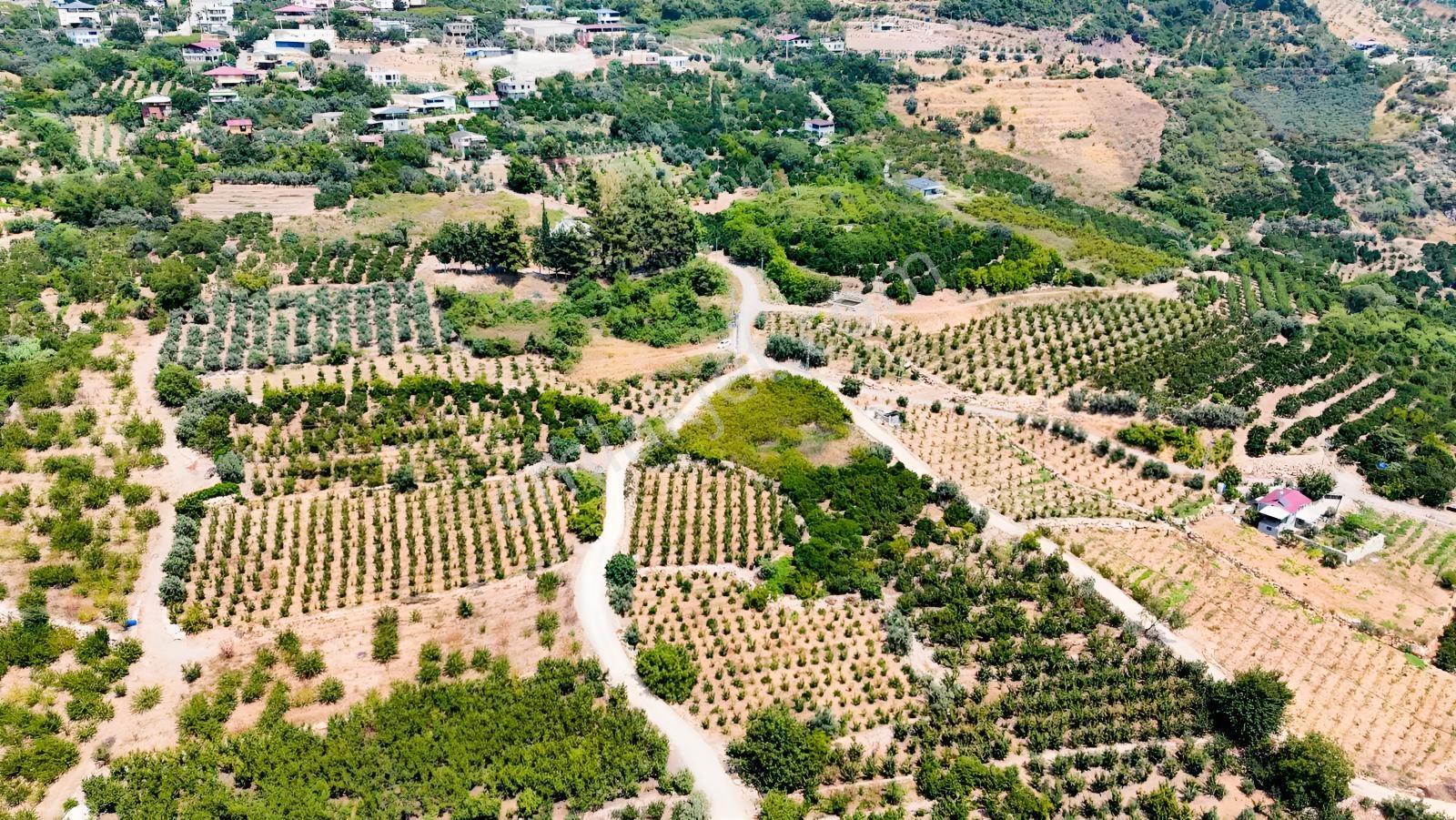 Değirmençayda Yaylalık Şehre Yakın Arsa 1.487 M2 Asfalt Cepheli — fotoğraf 11