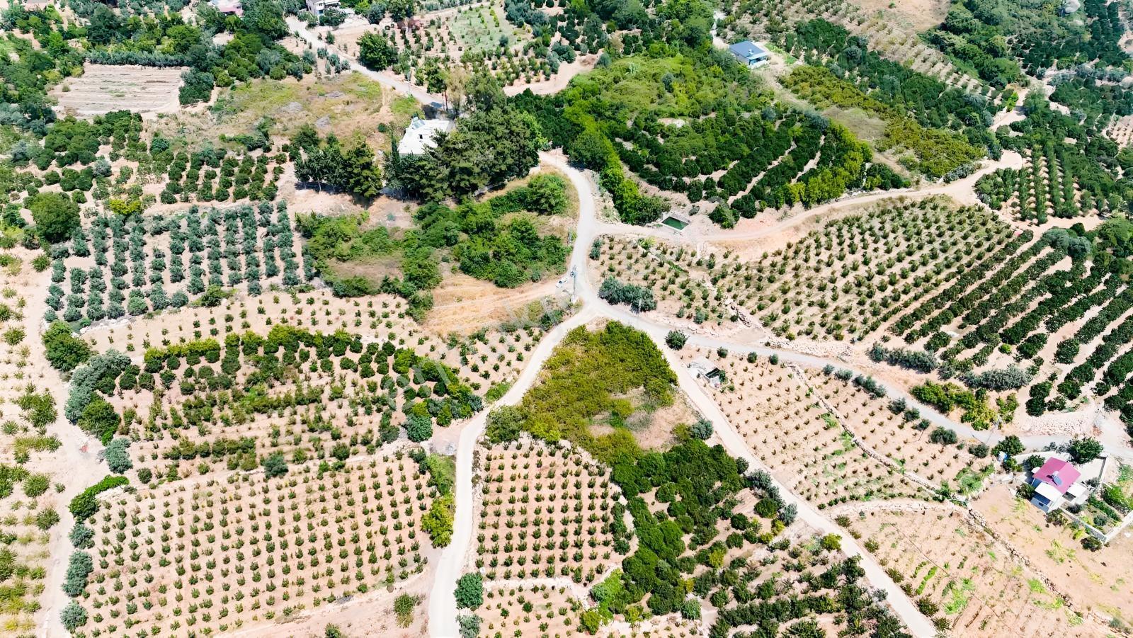Değirmençayda Yaylalık Şehre Yakın Arsa 1.487 M2 Asfalt Cepheli — fotoğraf 12