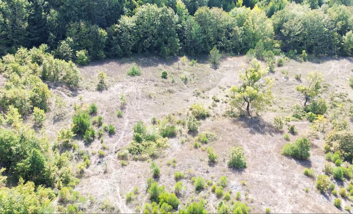 Vb'den Göktepe'de Harika Konumda Köye Yakın 18.000 M2 Tarla