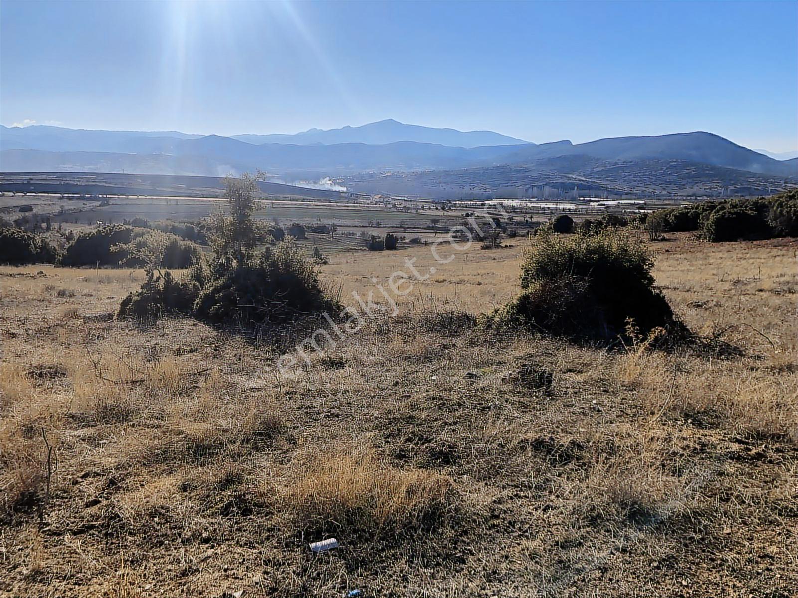 Burdur Çavdır Satılık Tarla Ges Yapımına Ve Kuru Marjinal Trm. — fotoğraf 6