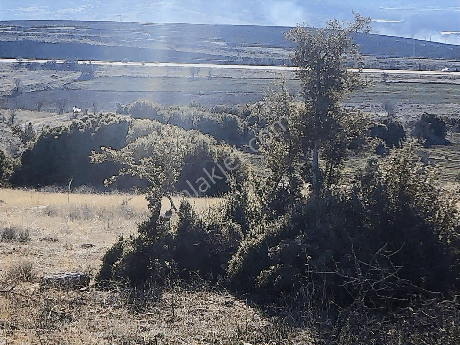 Burdur Çavdır Satılık Tarla Ges Yapımına Ve Kuru Marjinal Trm. — fotoğraf 8