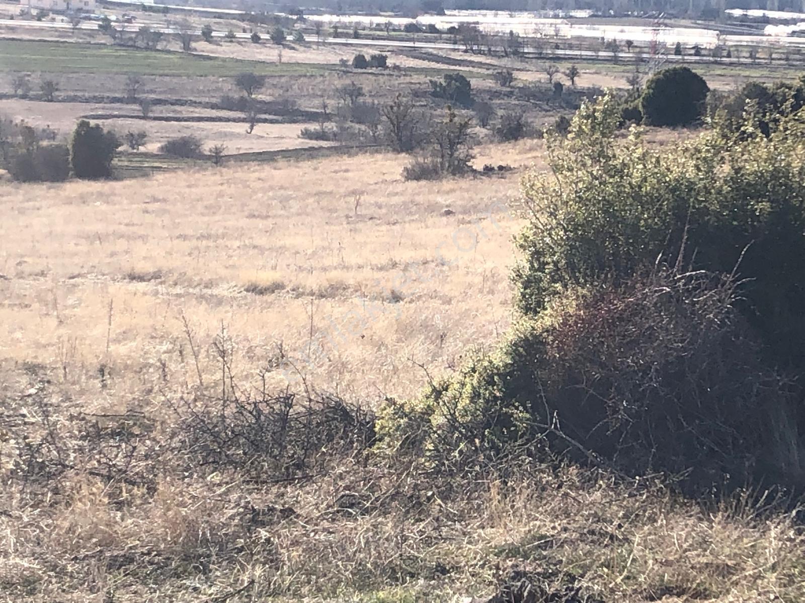 Burdur Çavdır Satılık Tarla Ges Yapımına Ve Kuru Marjinal Trm. — fotoğraf 9