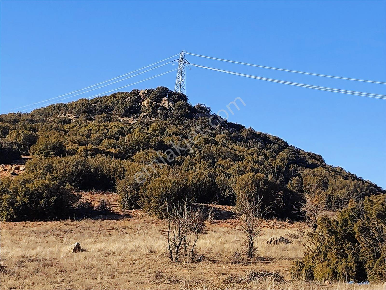 Burdur Çavdır Satılık Tarla Ges Yapımına Ve Kuru Marjinal Trm. — fotoğraf 10