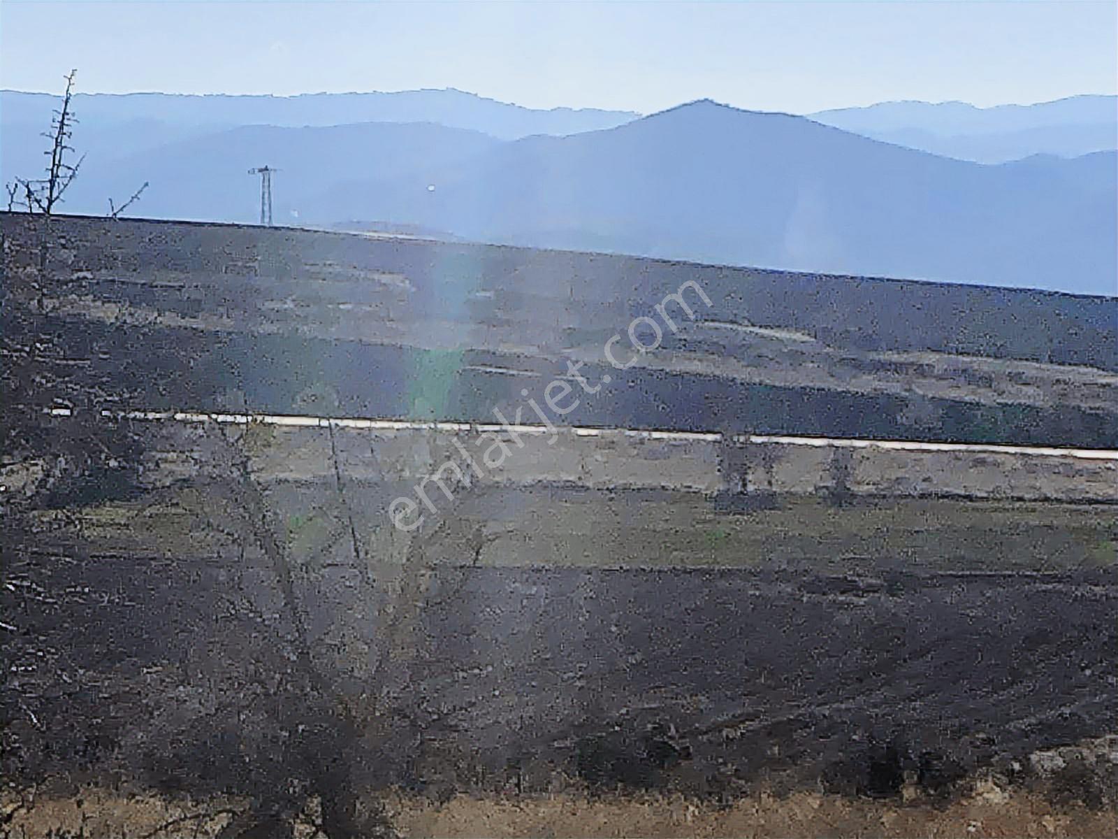 Burdur Çavdır Satılık Tarla Ges Yapımına Ve Kuru Marjinal Trm. — fotoğraf 22