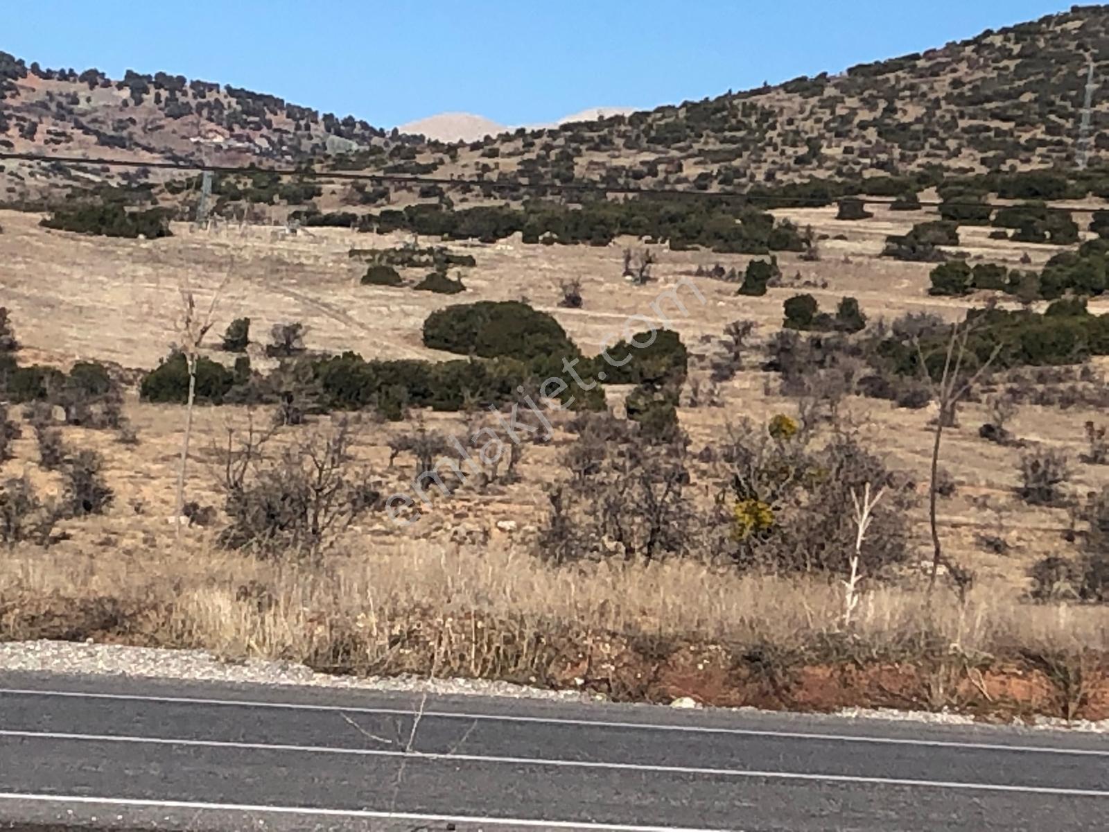 Burdur Çavdır Satılık Tarla Ges Yapımına Ve Kuru Marjinal Trm. — fotoğraf 25