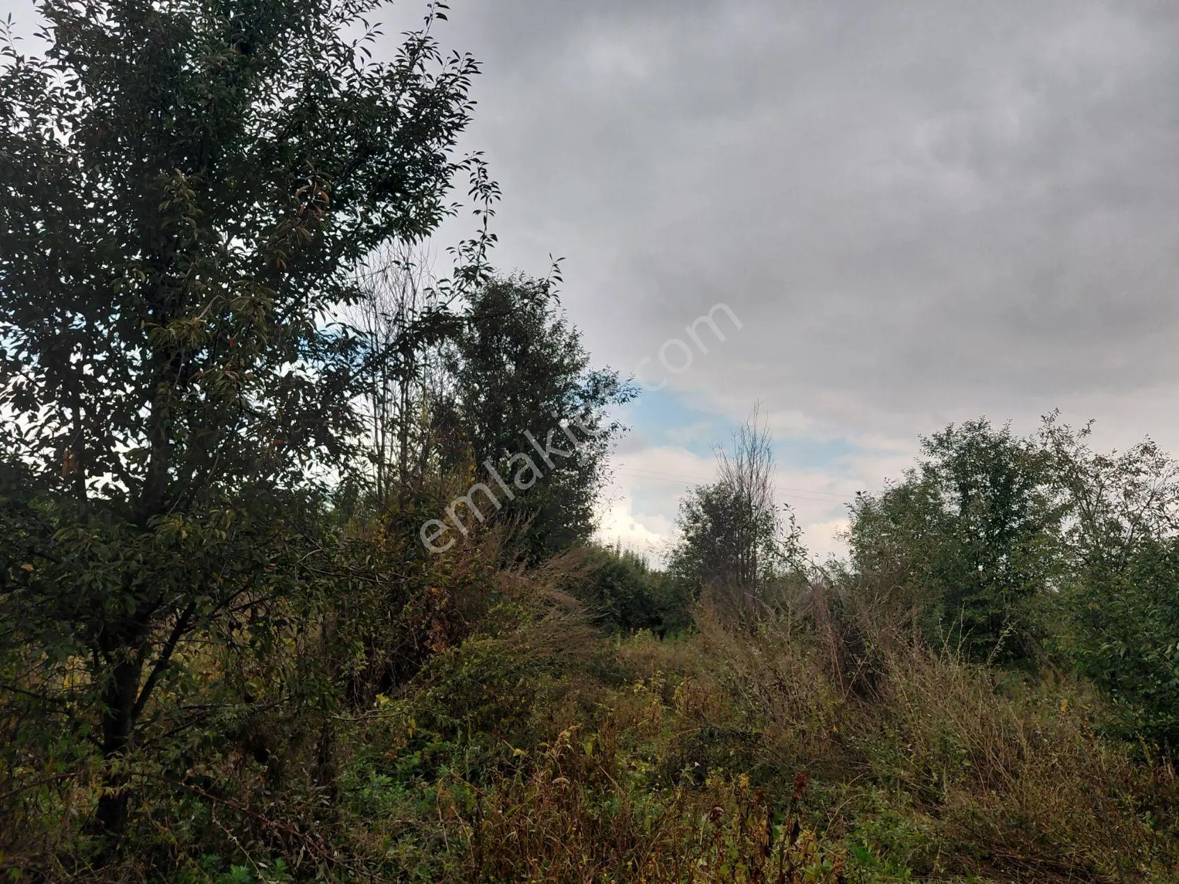 Akşehir Atakent Mahallesi'nde Satılık 2500 M² Tarla — fotoğraf 3