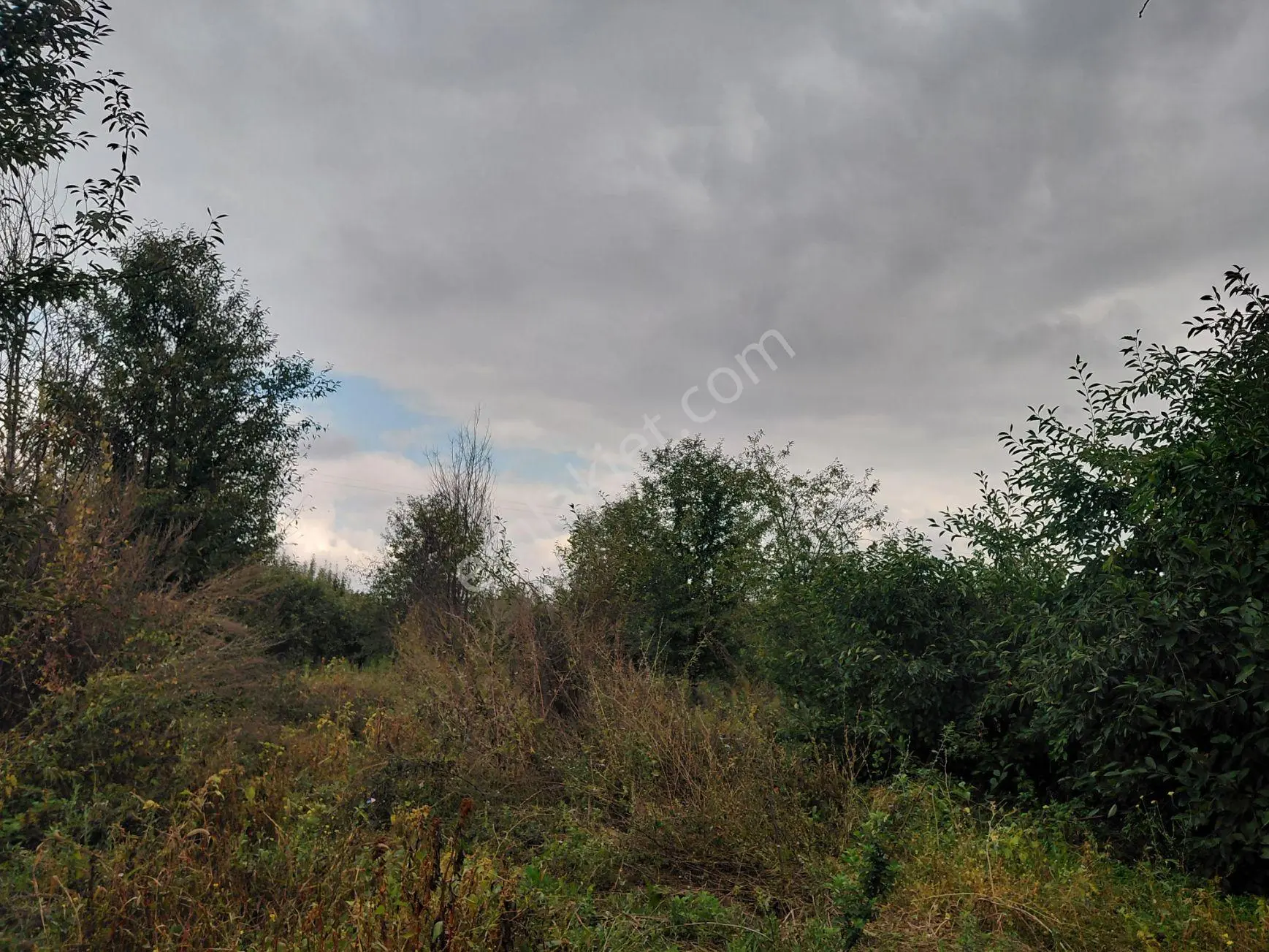Akşehir Atakent Mahallesi'nde Satılık 2500 M² Tarla — fotoğraf 4