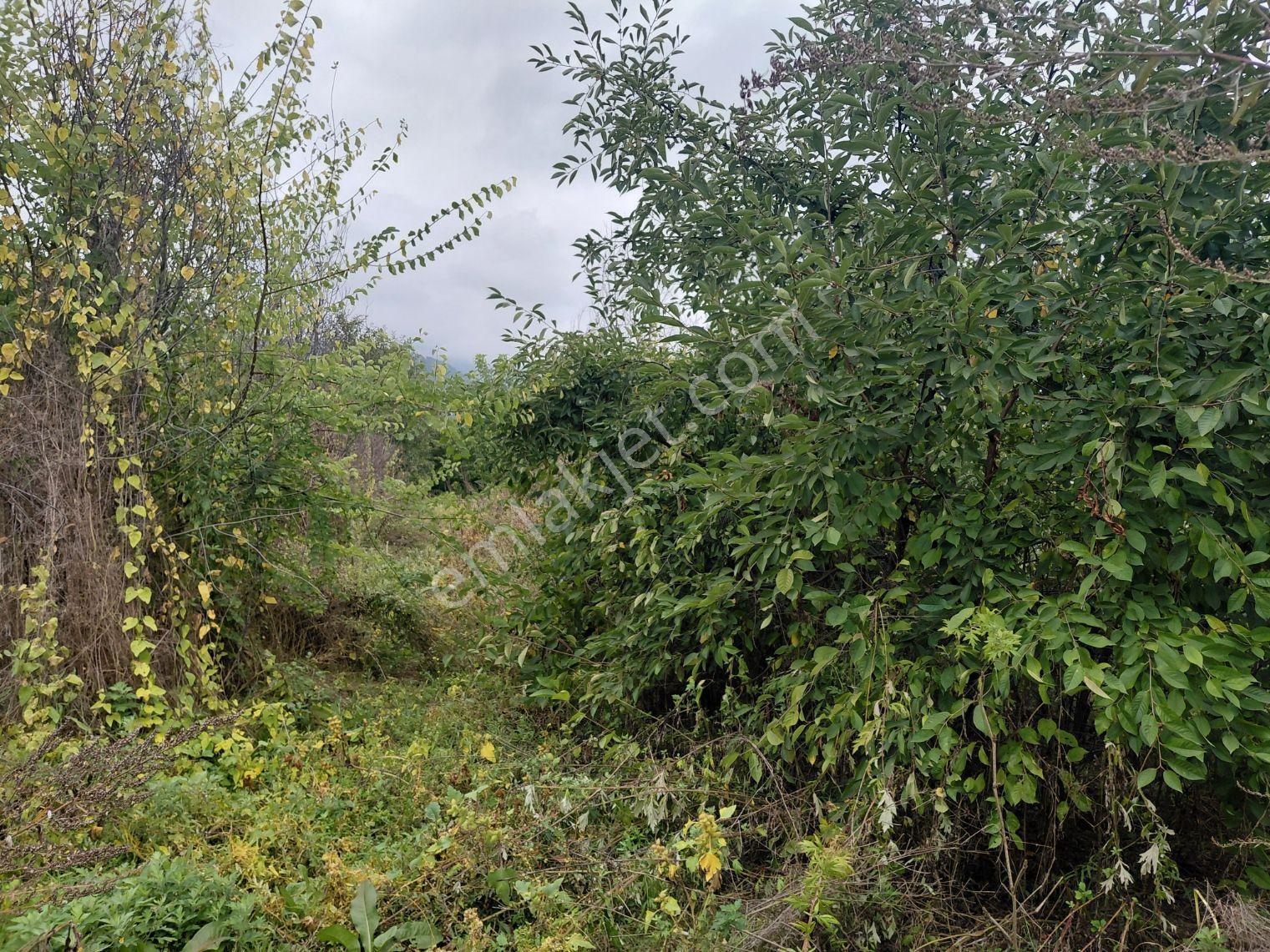 Akşehir Atakent Mahallesi'nde Satılık 2500 M² Tarla — fotoğraf 6