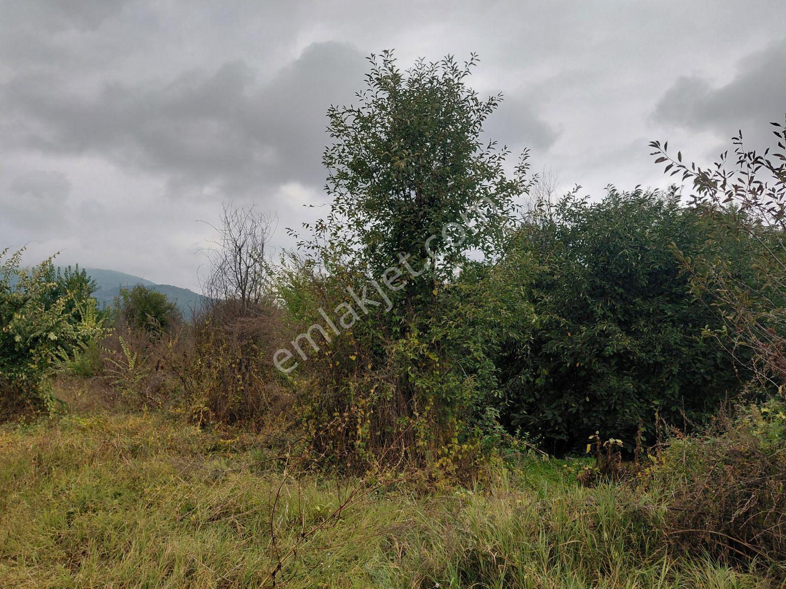 Akşehir Atakent Mahallesi'nde Satılık 2500 M² Tarla — fotoğraf 10