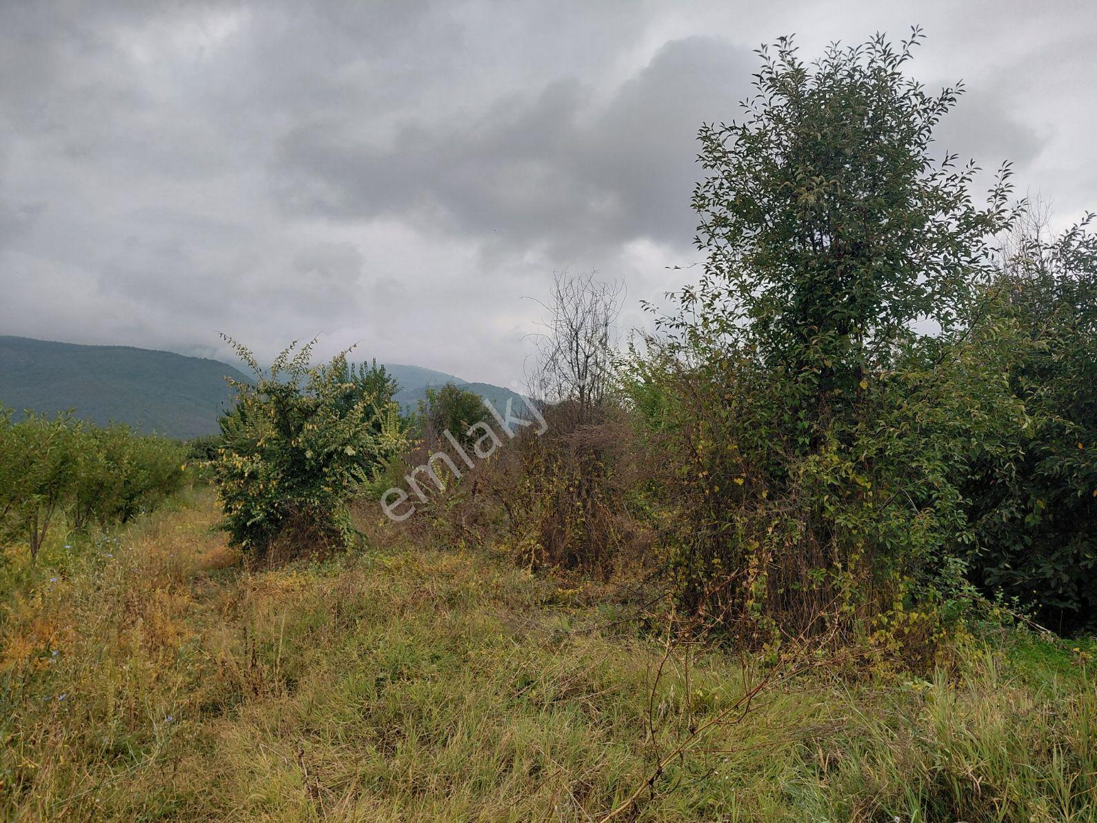 Akşehir Atakent Mahallesi'nde Satılık 2500 M² Tarla — fotoğraf 11