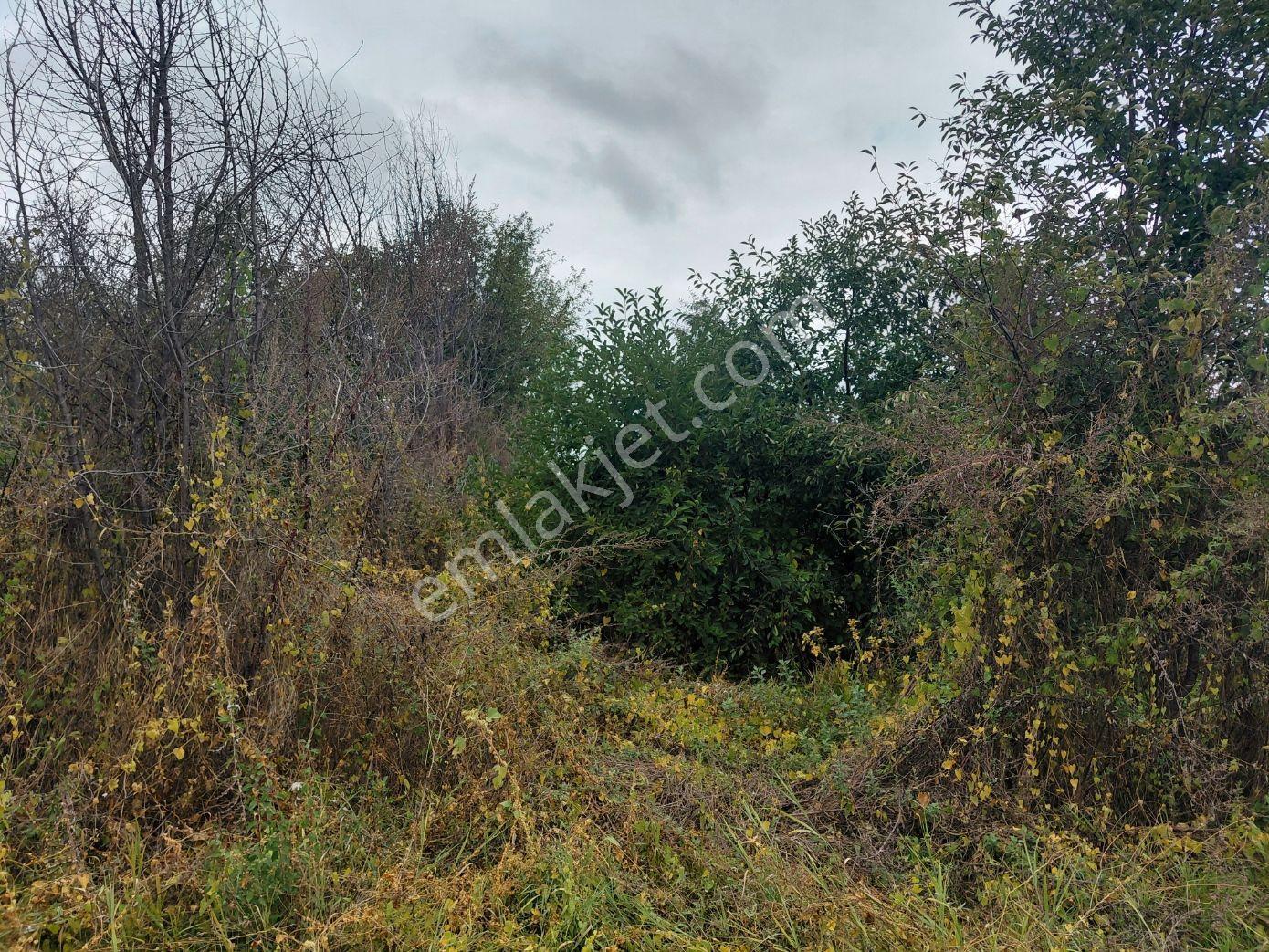 Akşehir Atakent Mahallesi'nde Satılık 2500 M² Tarla — fotoğraf 13