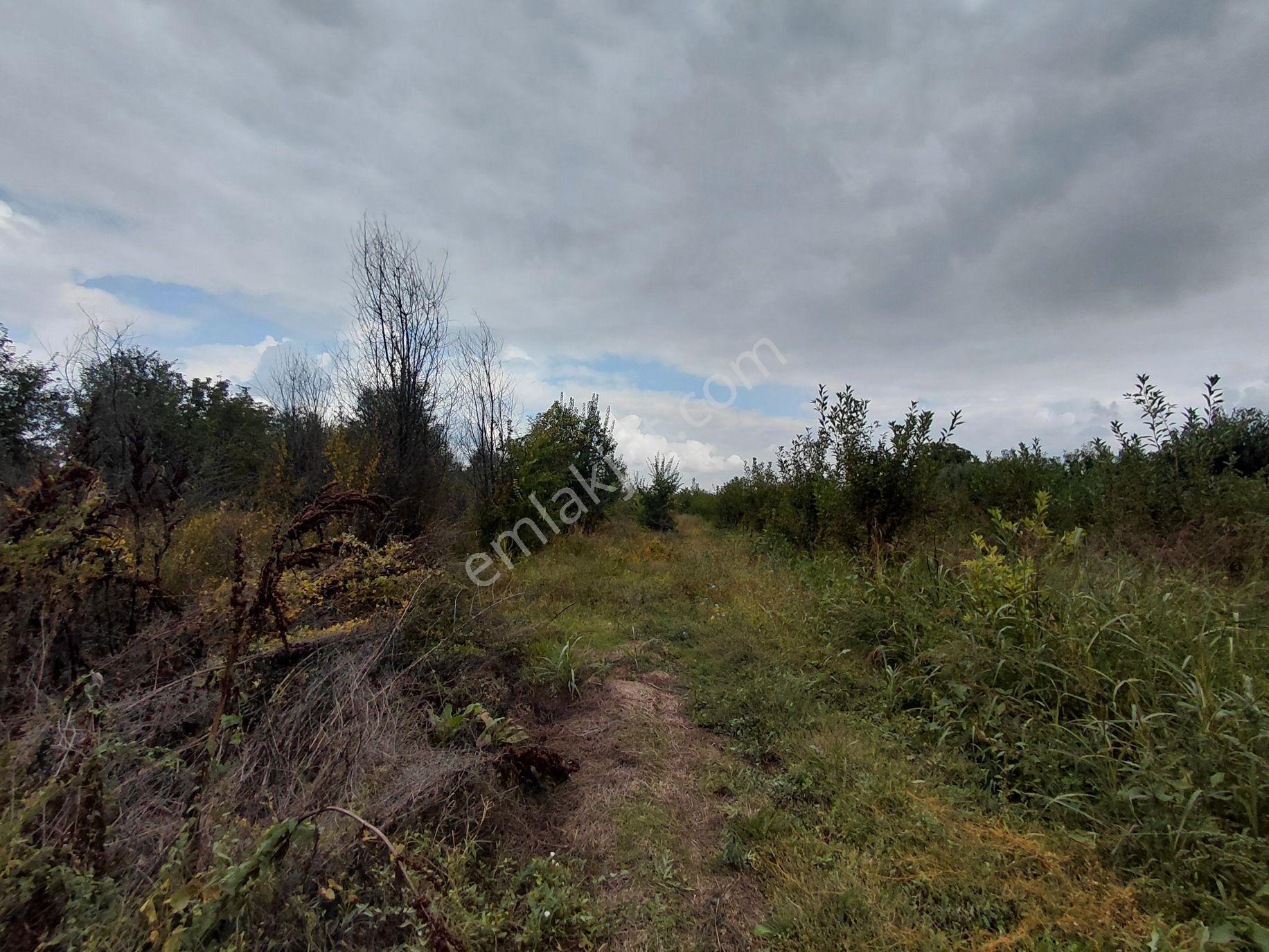 Akşehir Atakent Mahallesi'nde Satılık 2500 M² Tarla — fotoğraf 16