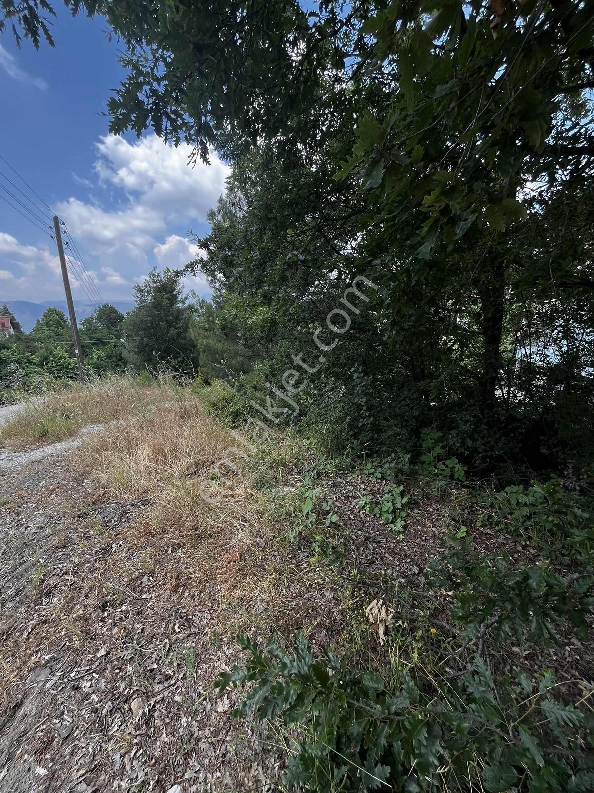 Yeniköyde Yüksek Lokasyonda Uygun 673 M2 Arsa — fotoğraf 2
