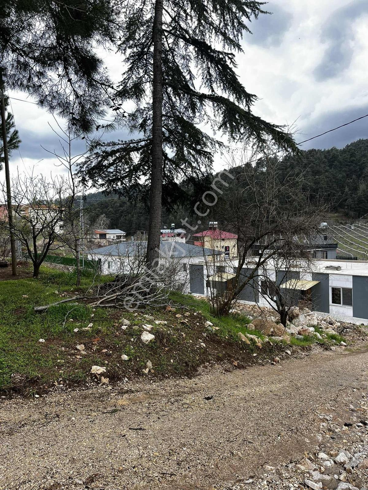 Bekiralanı Yaylasında 1.078 M2 (1 Dönüm) Satılık İfrazlı Arazi — fotoğraf 4