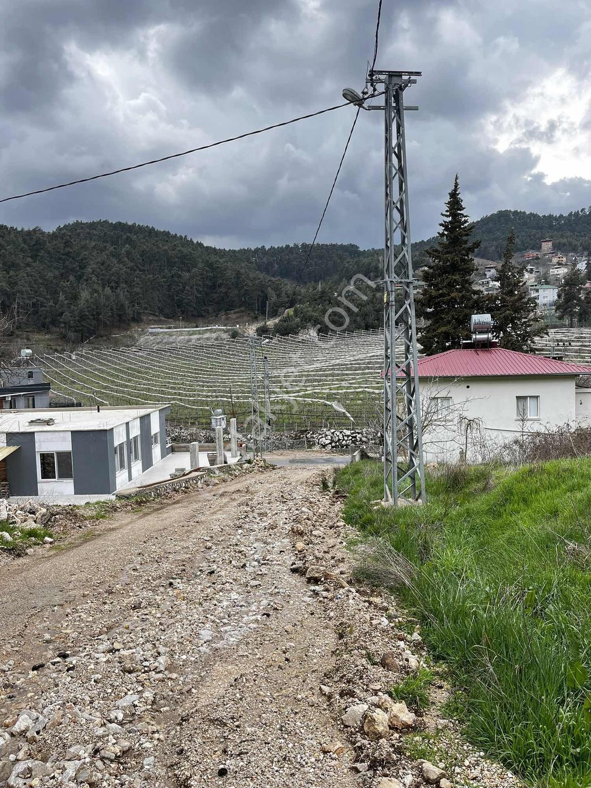 Bekiralanı Yaylasında 1.078 M2 (1 Dönüm) Satılık İfrazlı Arazi — fotoğraf 5