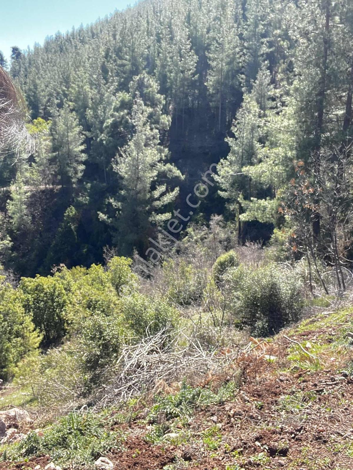 Yeniköy Toroslar 4800 M² Vadi Manzaralı Uygun Fiyatlı Arsa — fotoğraf 3