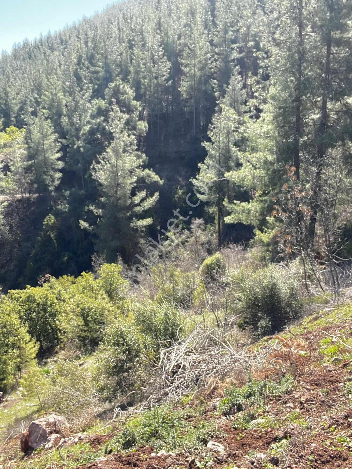 Yeniköy Toroslar 4800 M² Vadi Manzaralı Uygun Fiyatlı Arsa — fotoğraf 4