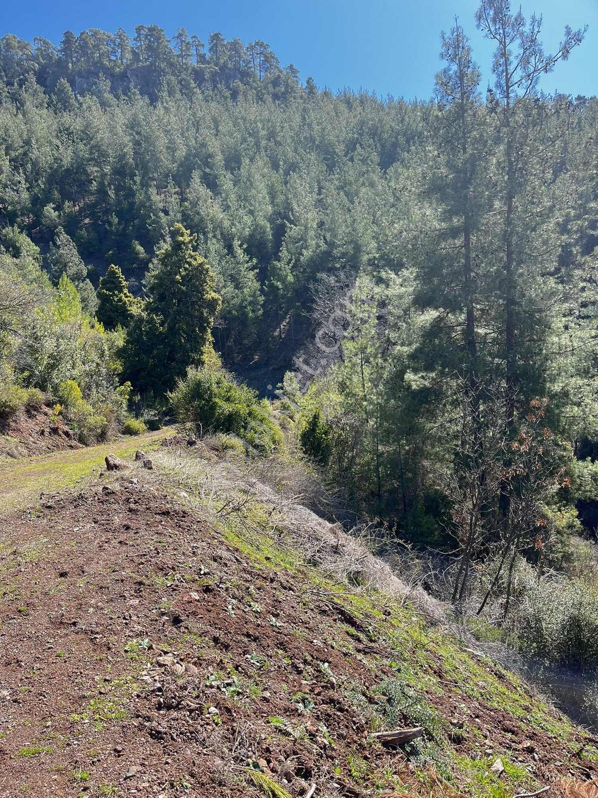 Yeniköy Toroslar 4800 M² Vadi Manzaralı Uygun Fiyatlı Arsa — fotoğraf 6