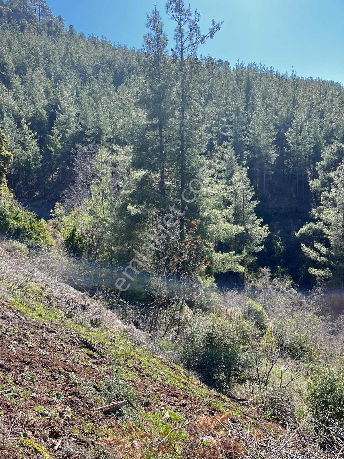 Yeniköy Toroslar 4800 M² Vadi Manzaralı Uygun Fiyatlı Arsa — fotoğraf 7
