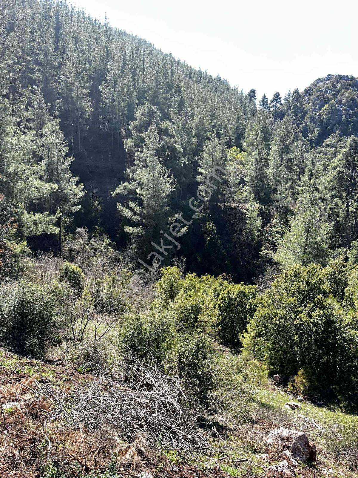 Yeniköy Toroslar 4800 M² Vadi Manzaralı Uygun Fiyatlı Arsa — fotoğraf 8