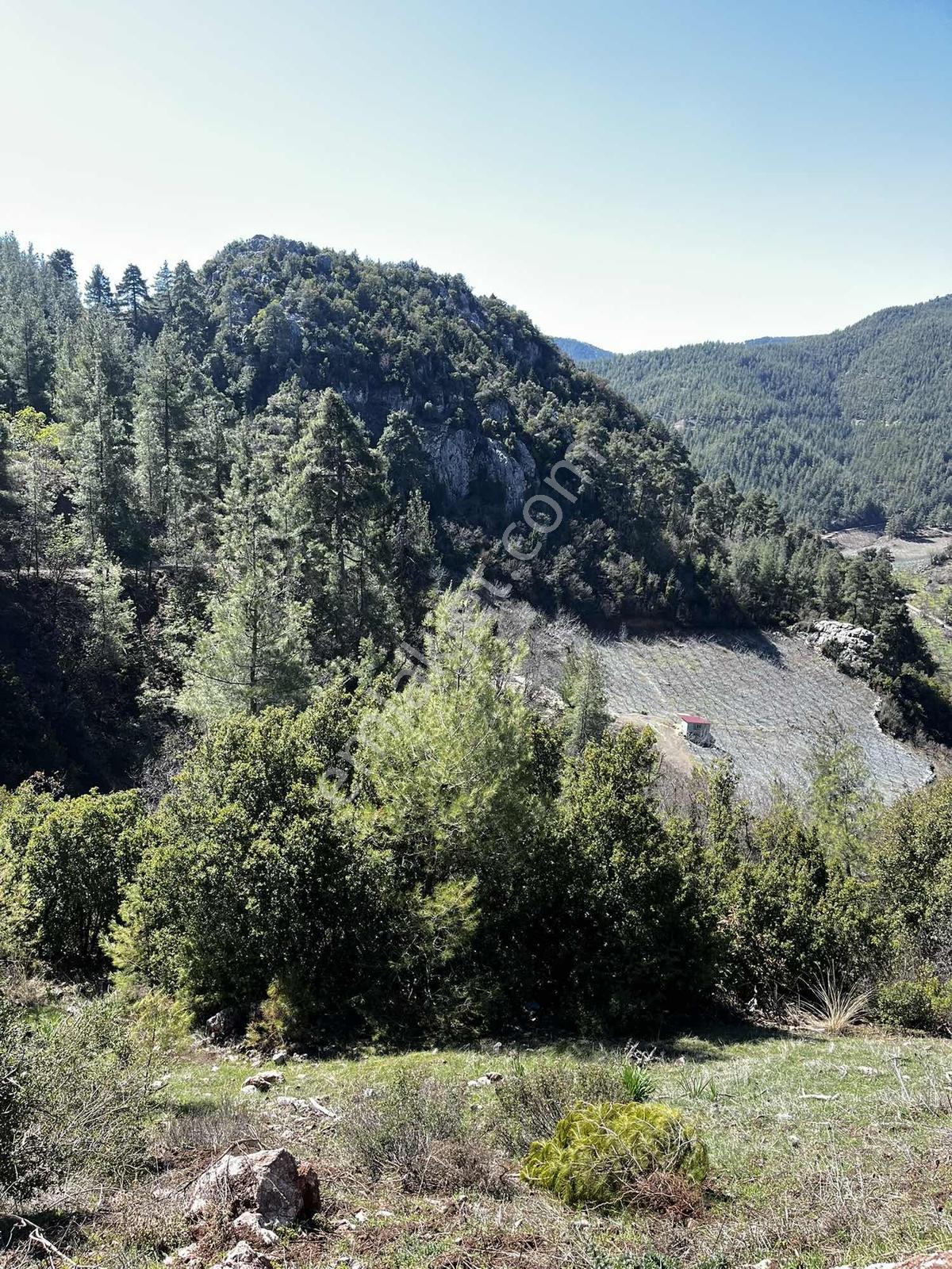 Yeniköy Toroslar 4800 M² Vadi Manzaralı Uygun Fiyatlı Arsa — fotoğraf 9