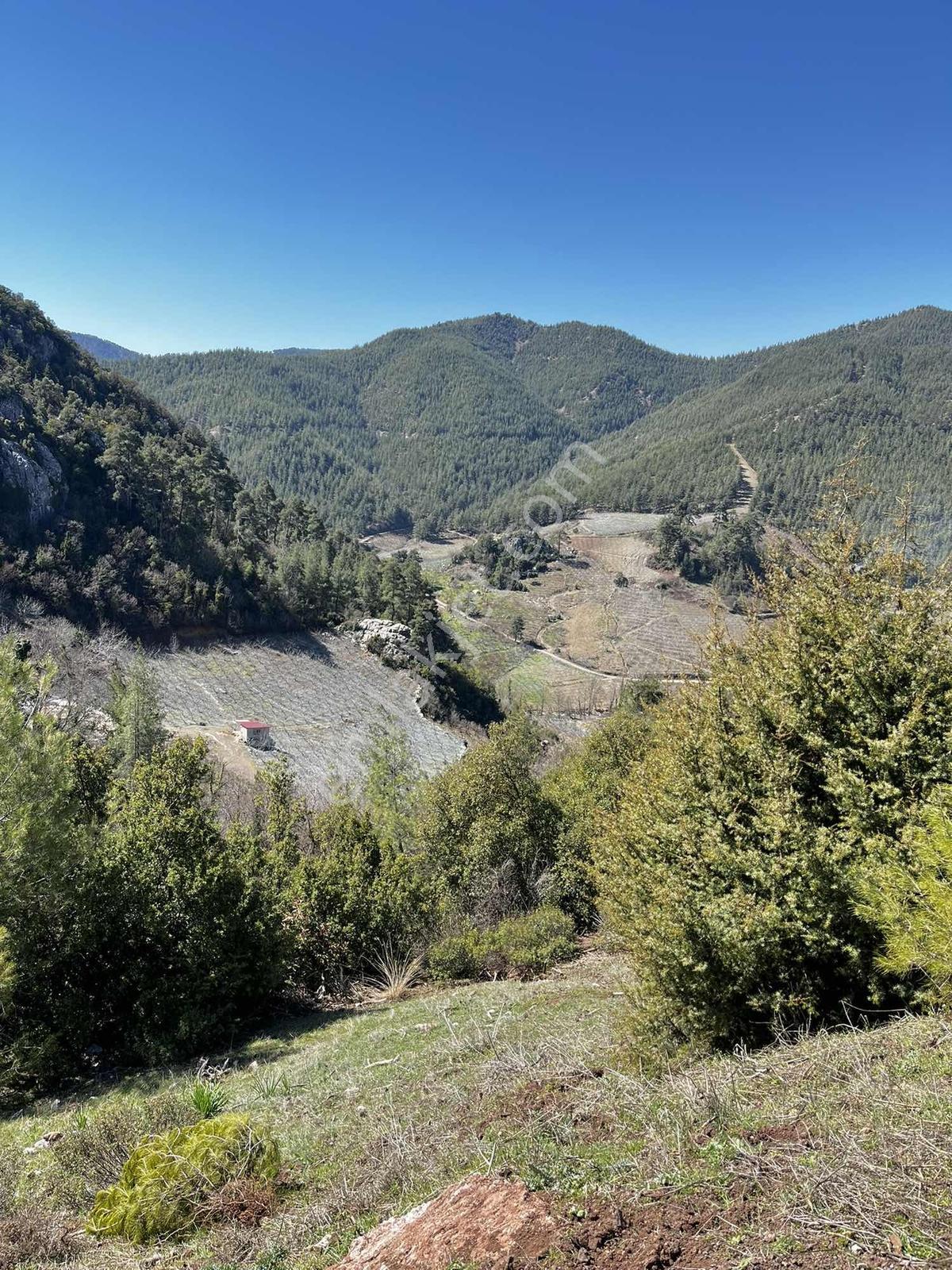 Yeniköy Toroslar 4800 M² Vadi Manzaralı Uygun Fiyatlı Arsa — fotoğraf 10