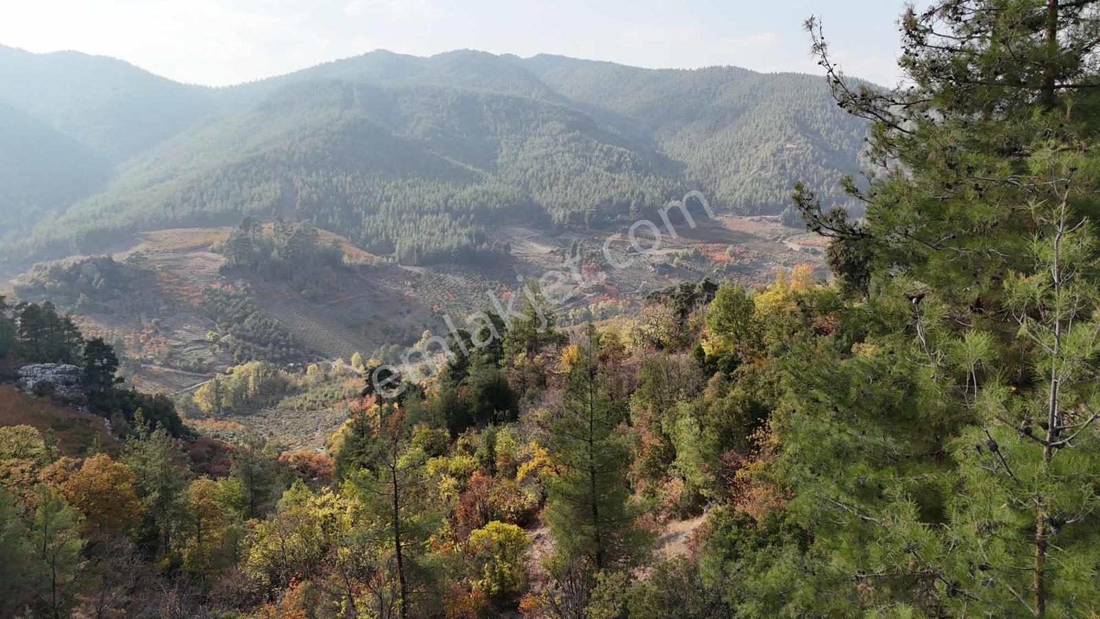 Yeniköy Toroslar 4800 M² Vadi Manzaralı Uygun Fiyatlı Arsa — fotoğraf 11