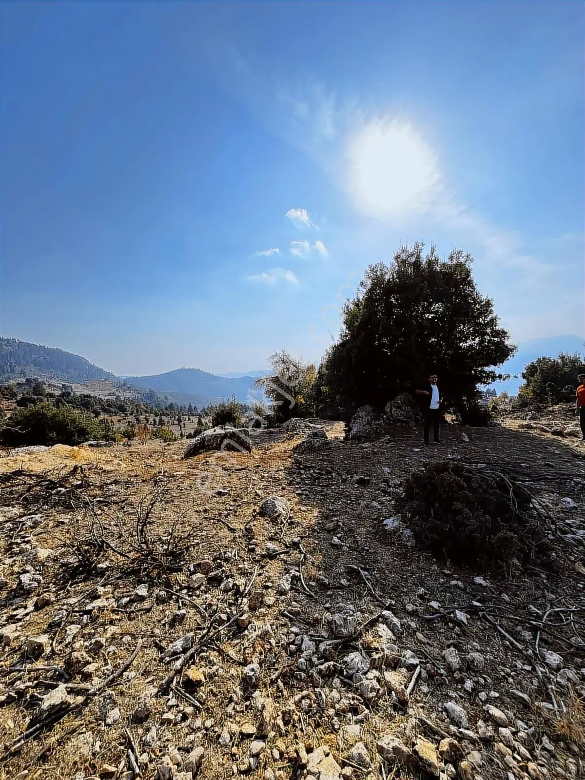 Toroslar Gözne Karatepede Geniş Yatırım Fırsatları 850m2 — fotoğraf 2