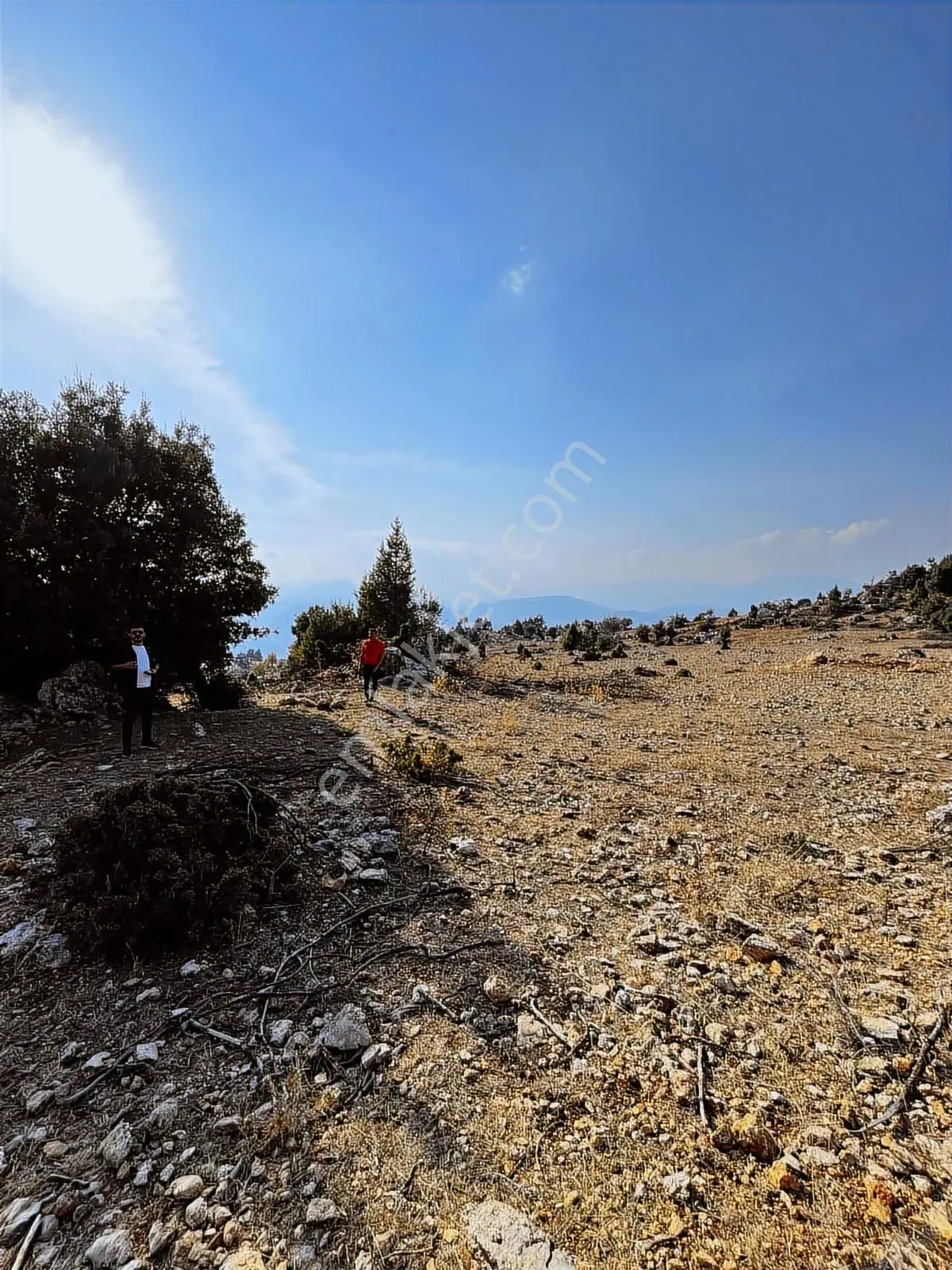 Toroslar Gözne Karatepede Geniş Yatırım Fırsatları 850m2 — fotoğraf 4