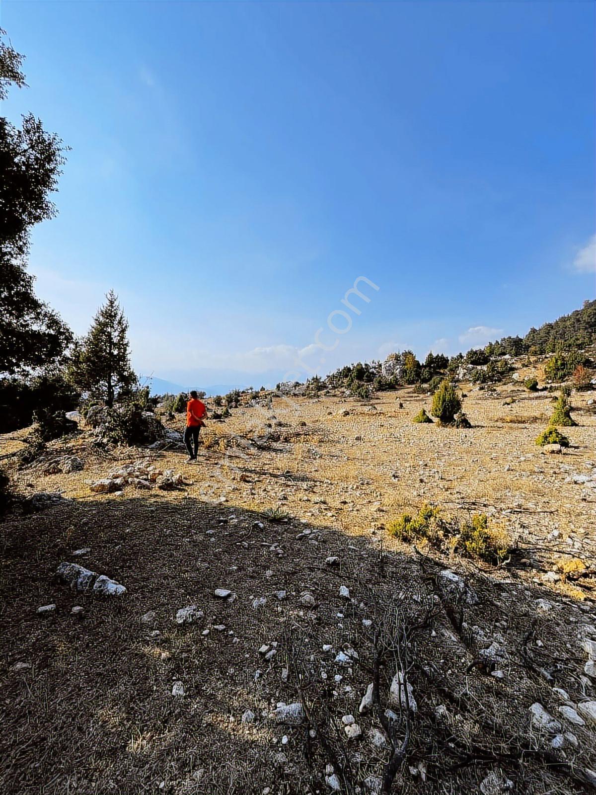 Toroslar Gözne Karatepede Geniş Yatırım Fırsatları 850m2 — fotoğraf 6