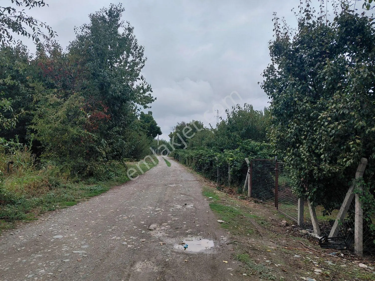 Akşehir Atakent Mahallesi'nde Satılık 2500 M² Bahçe