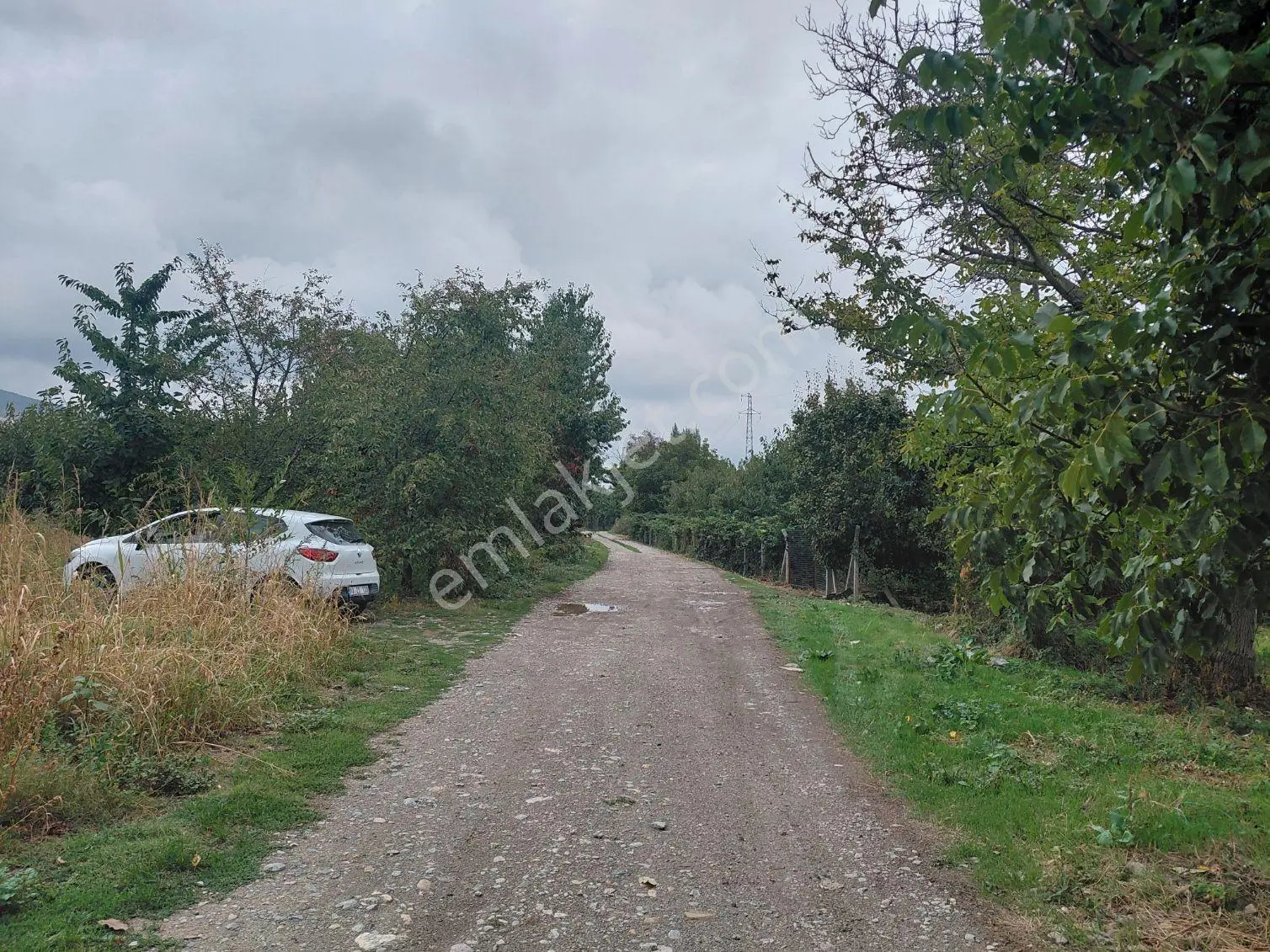 Akşehir Atakent Mahallesi'nde Satılık 2500 M² Bahçe — fotoğraf 2