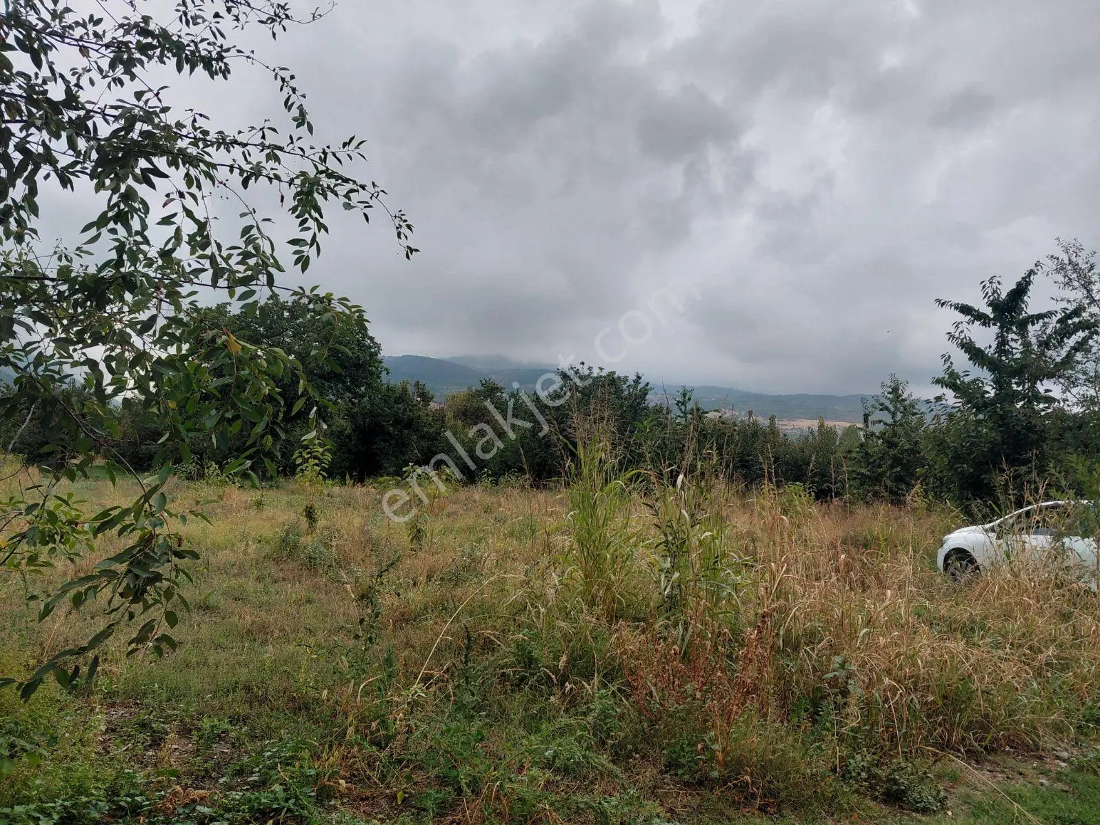 Akşehir Atakent Mahallesi'nde Satılık 2500 M² Bahçe — fotoğraf 3