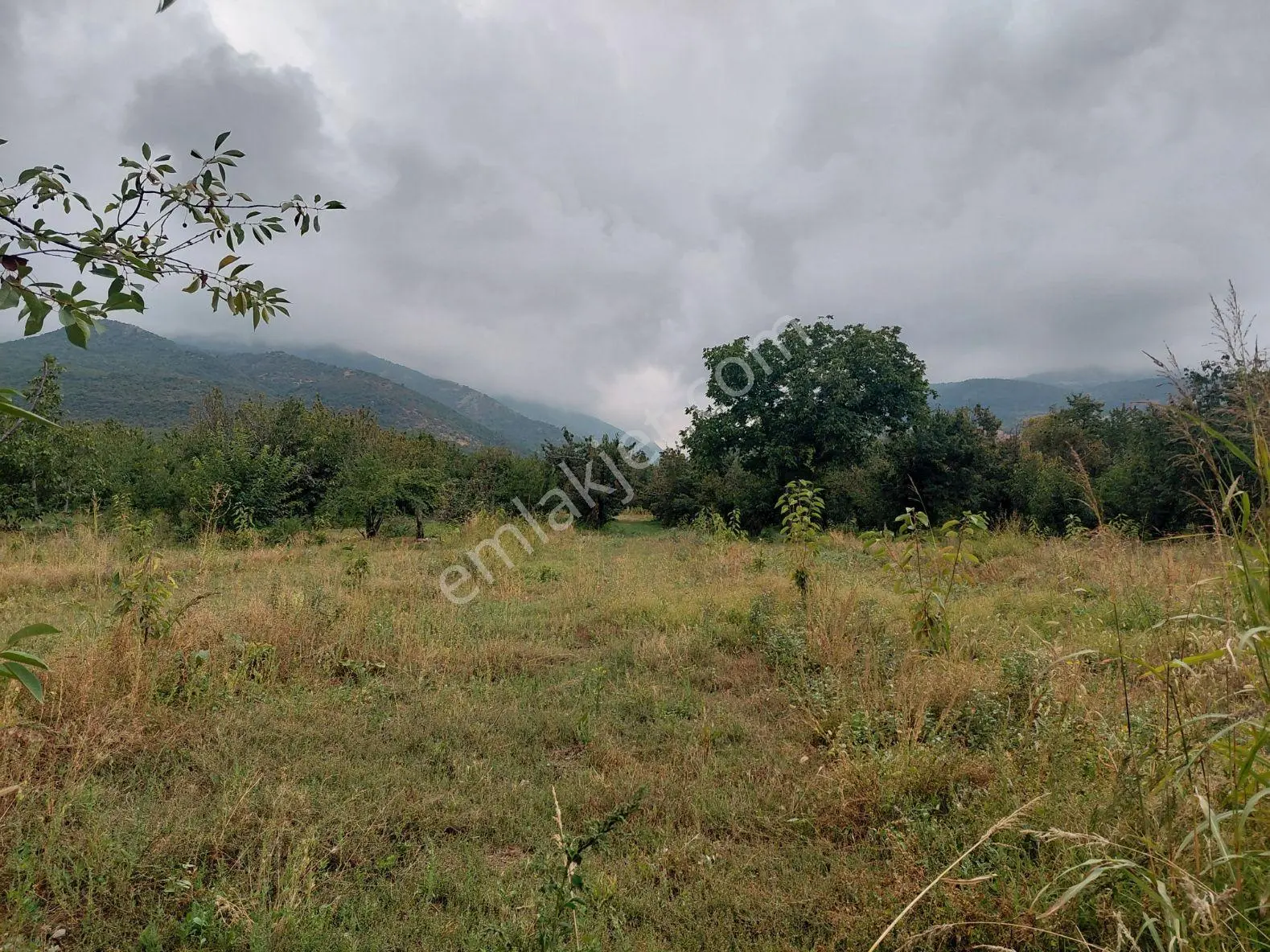 Akşehir Atakent Mahallesi'nde Satılık 2500 M² Bahçe — fotoğraf 4