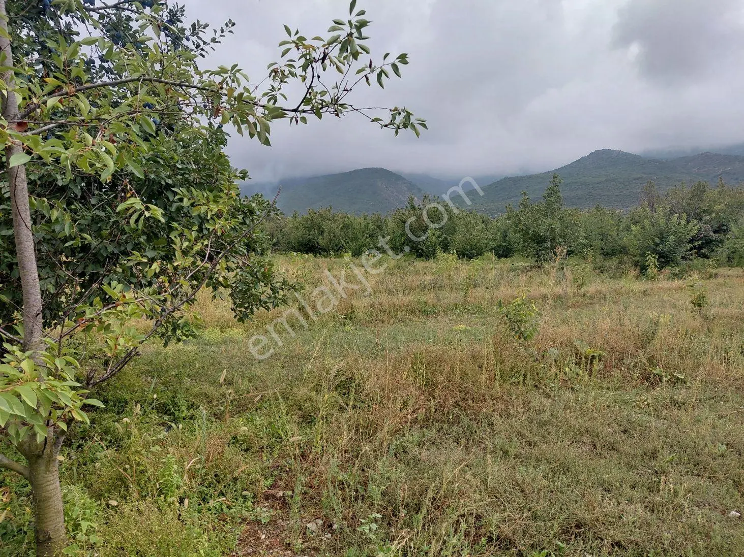 Akşehir Atakent Mahallesi'nde Satılık 2500 M² Bahçe — fotoğraf 5