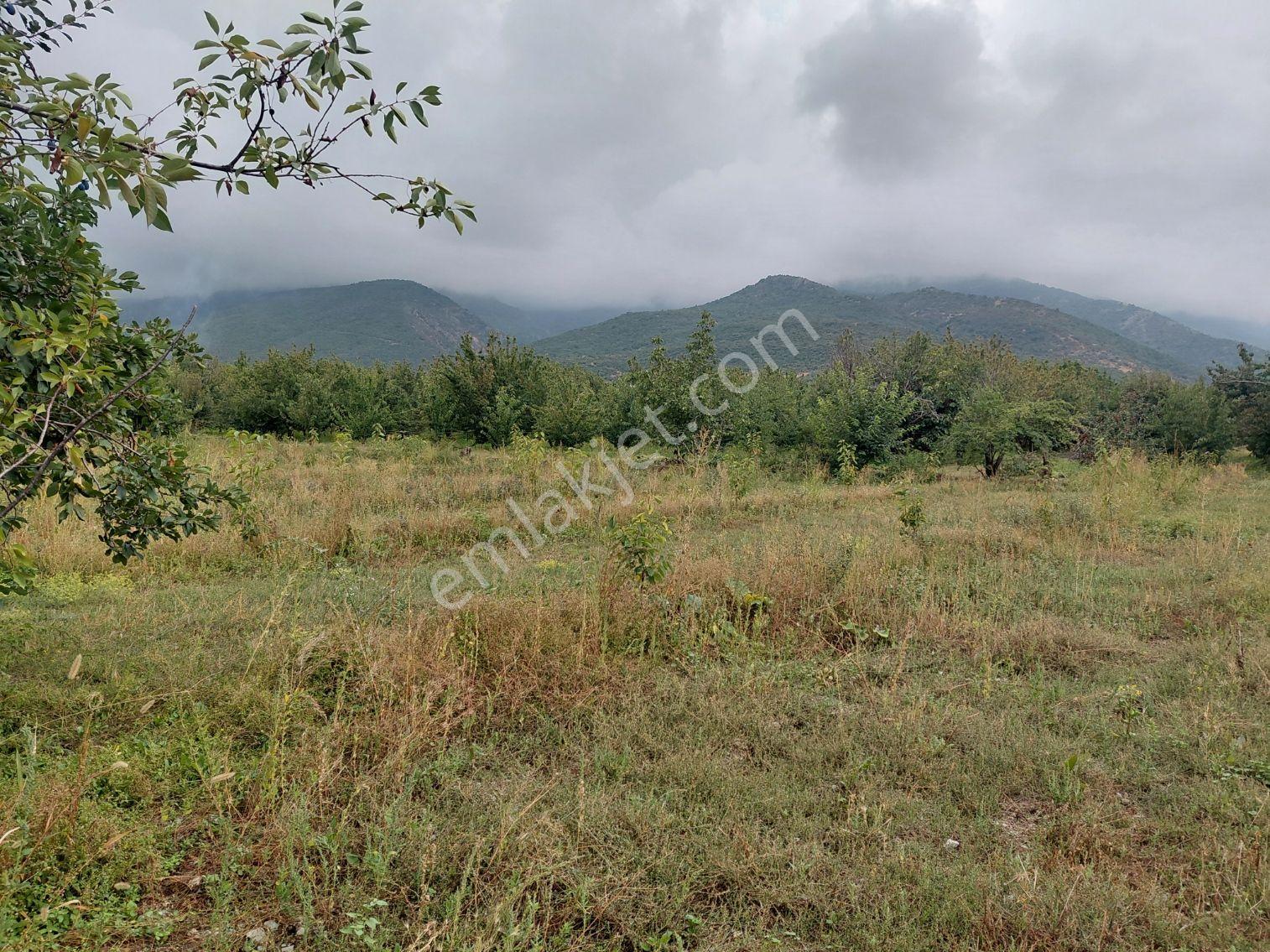 Akşehir Atakent Mahallesi'nde Satılık 2500 M² Bahçe — fotoğraf 6