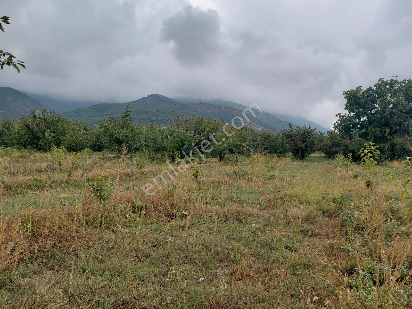 Akşehir Atakent Mahallesi'nde Satılık 2500 M² Bahçe — fotoğraf 7