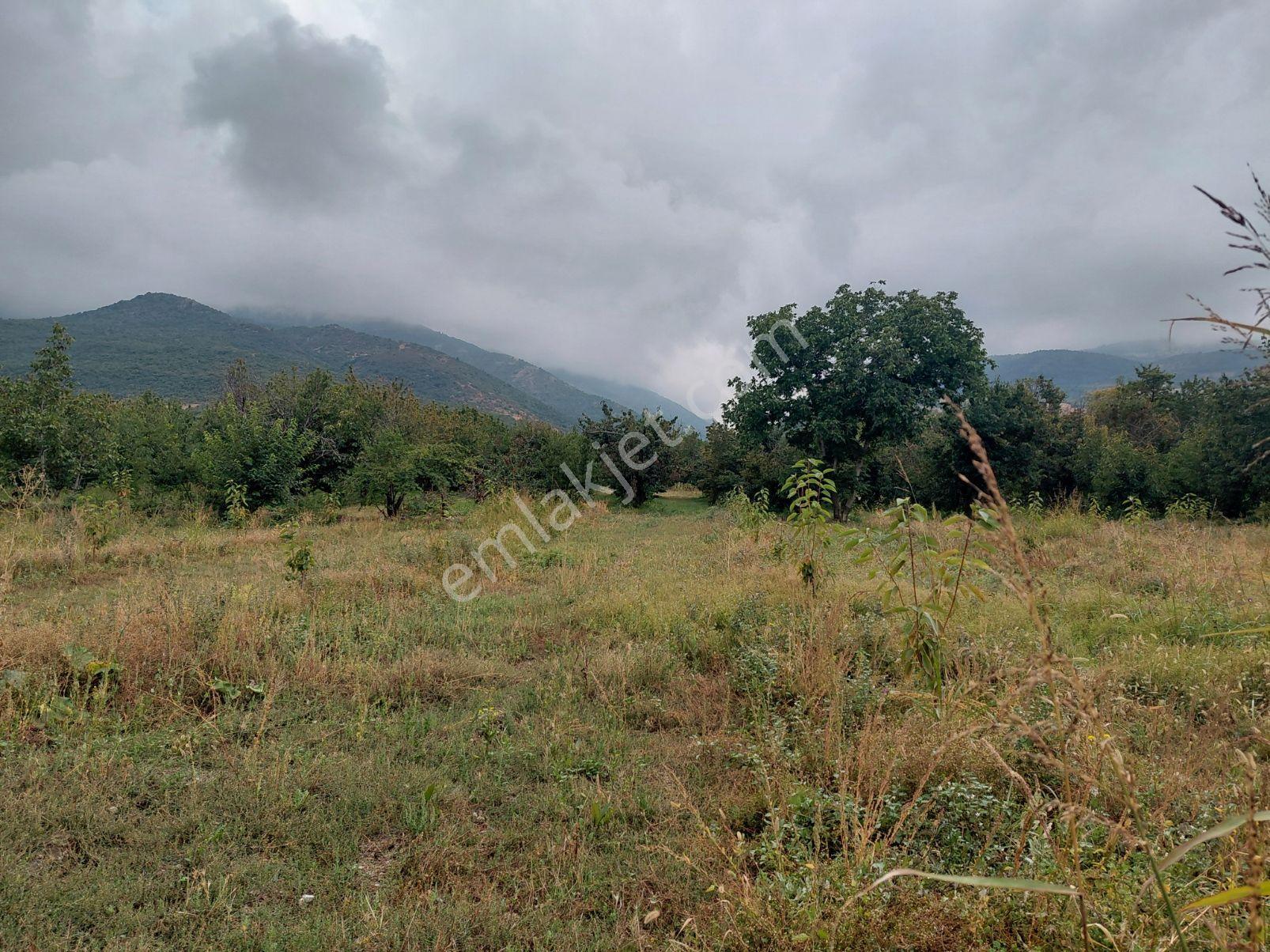Akşehir Atakent Mahallesi'nde Satılık 2500 M² Bahçe — fotoğraf 8