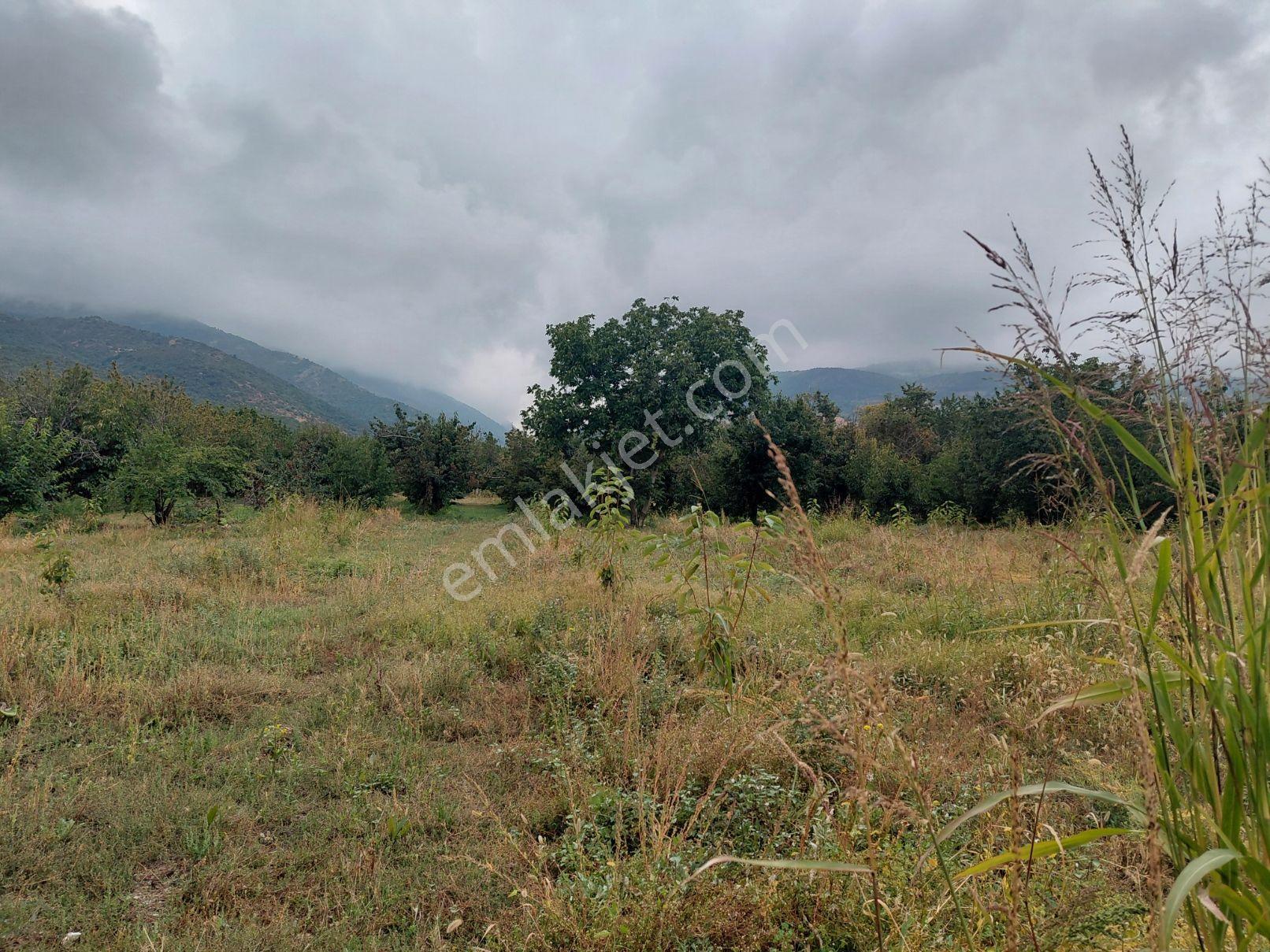 Akşehir Atakent Mahallesi'nde Satılık 2500 M² Bahçe — fotoğraf 9